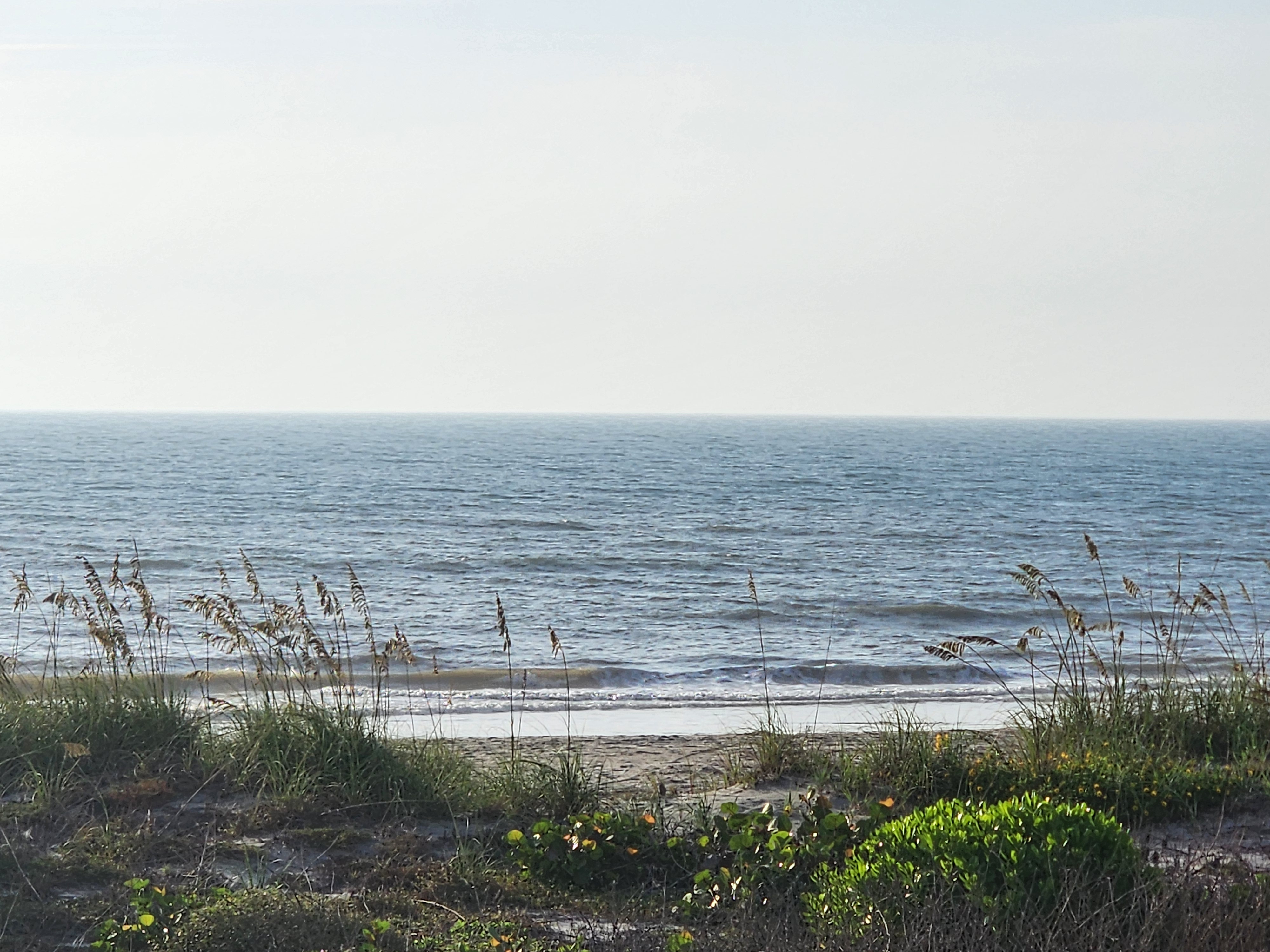 Wide view of light surf and a broad sandy beach through the dune grass, glassy blue ocean to a soft horizon