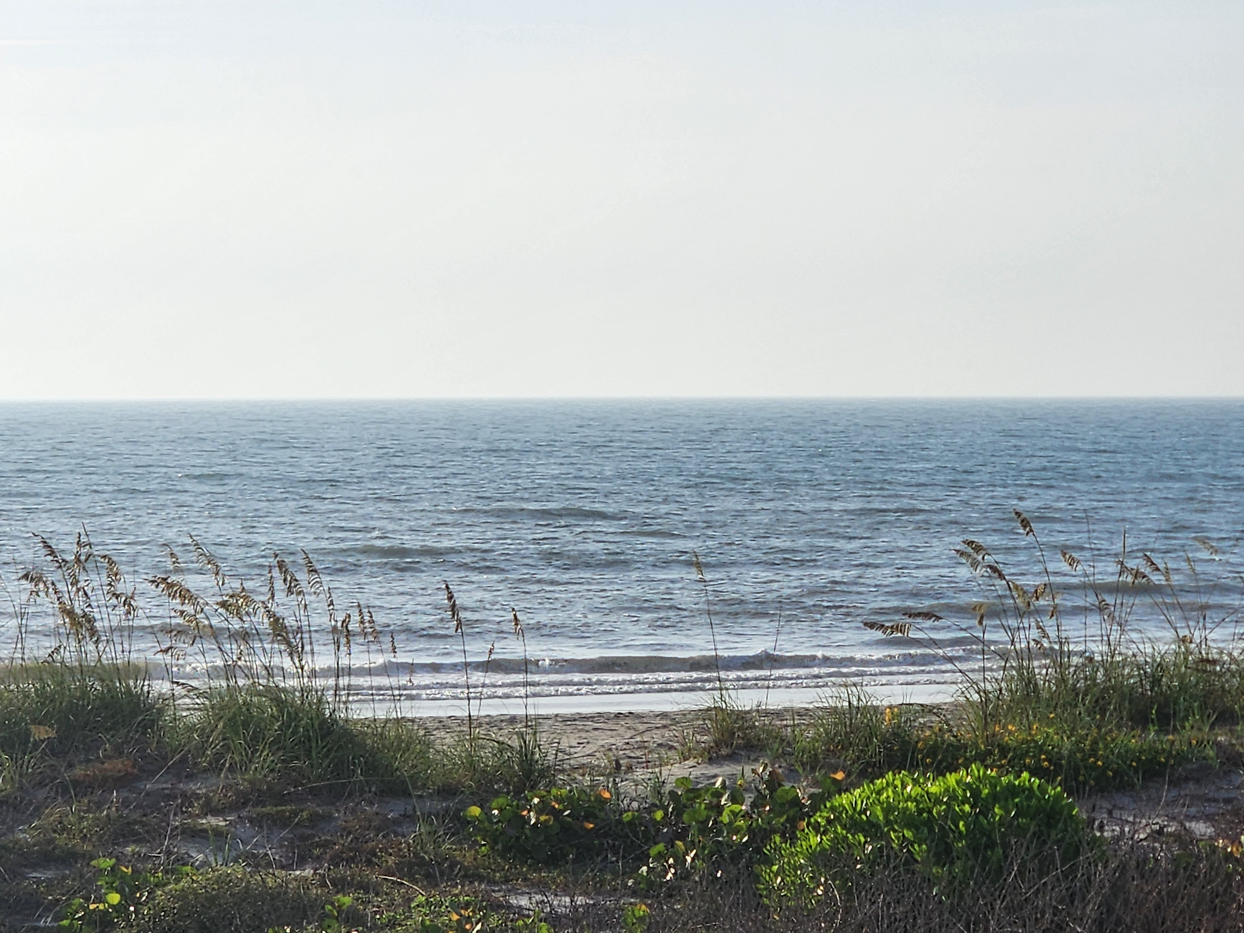 Beach and small breaking waves framed by sea oats and green sea grape, morning sun on the water