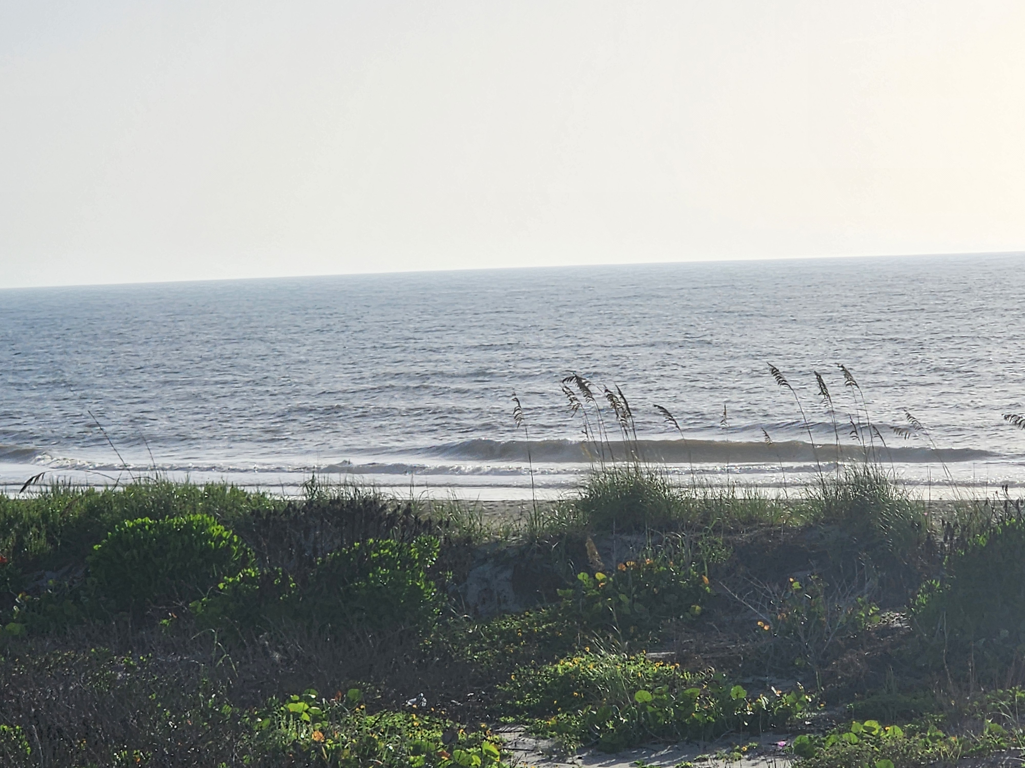 Small waves breaking beyond dune grass, South Cocoa Beach