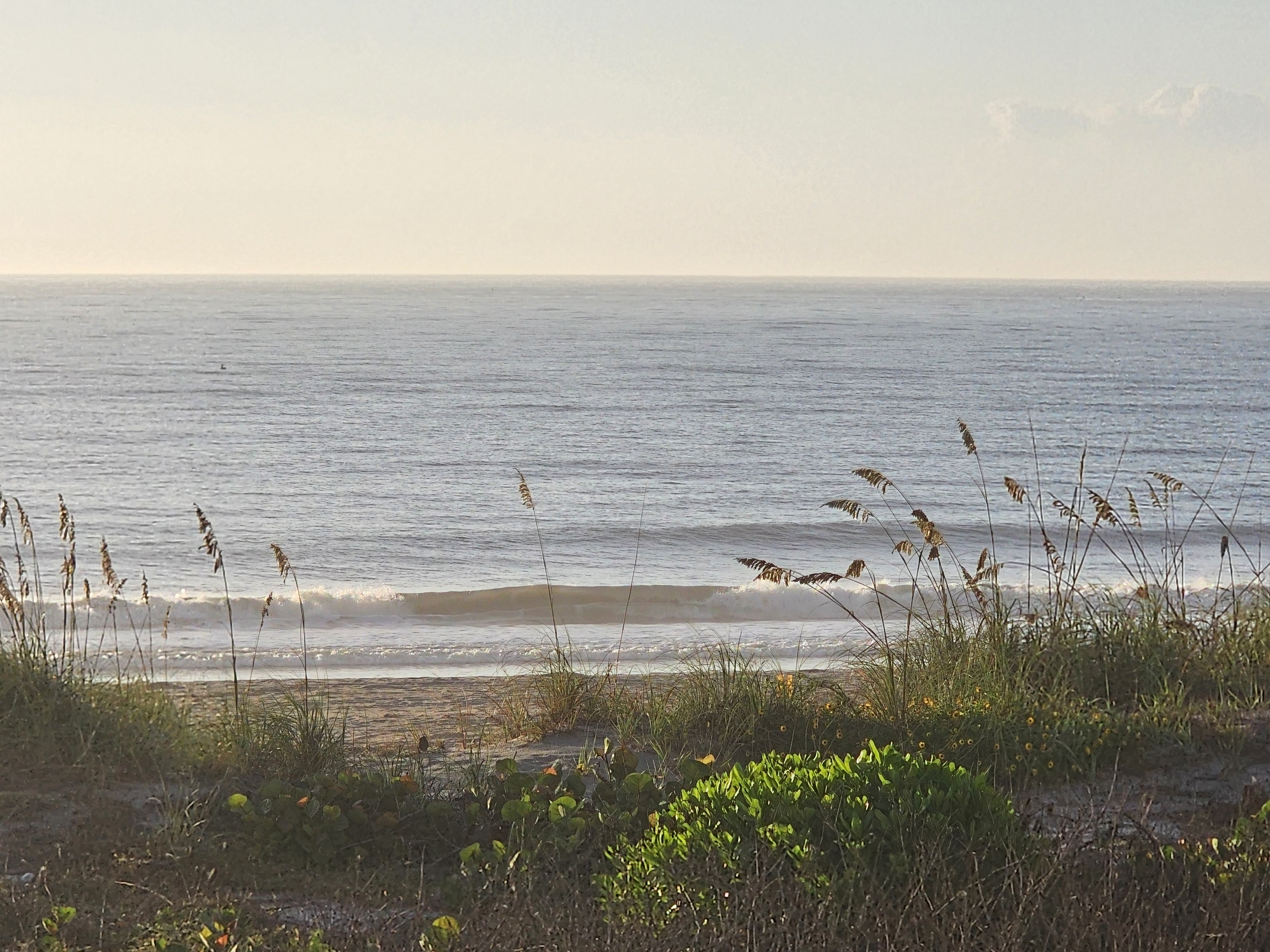 Gentle surf and sea oats at Picnic Tables, South Cocoa Beach