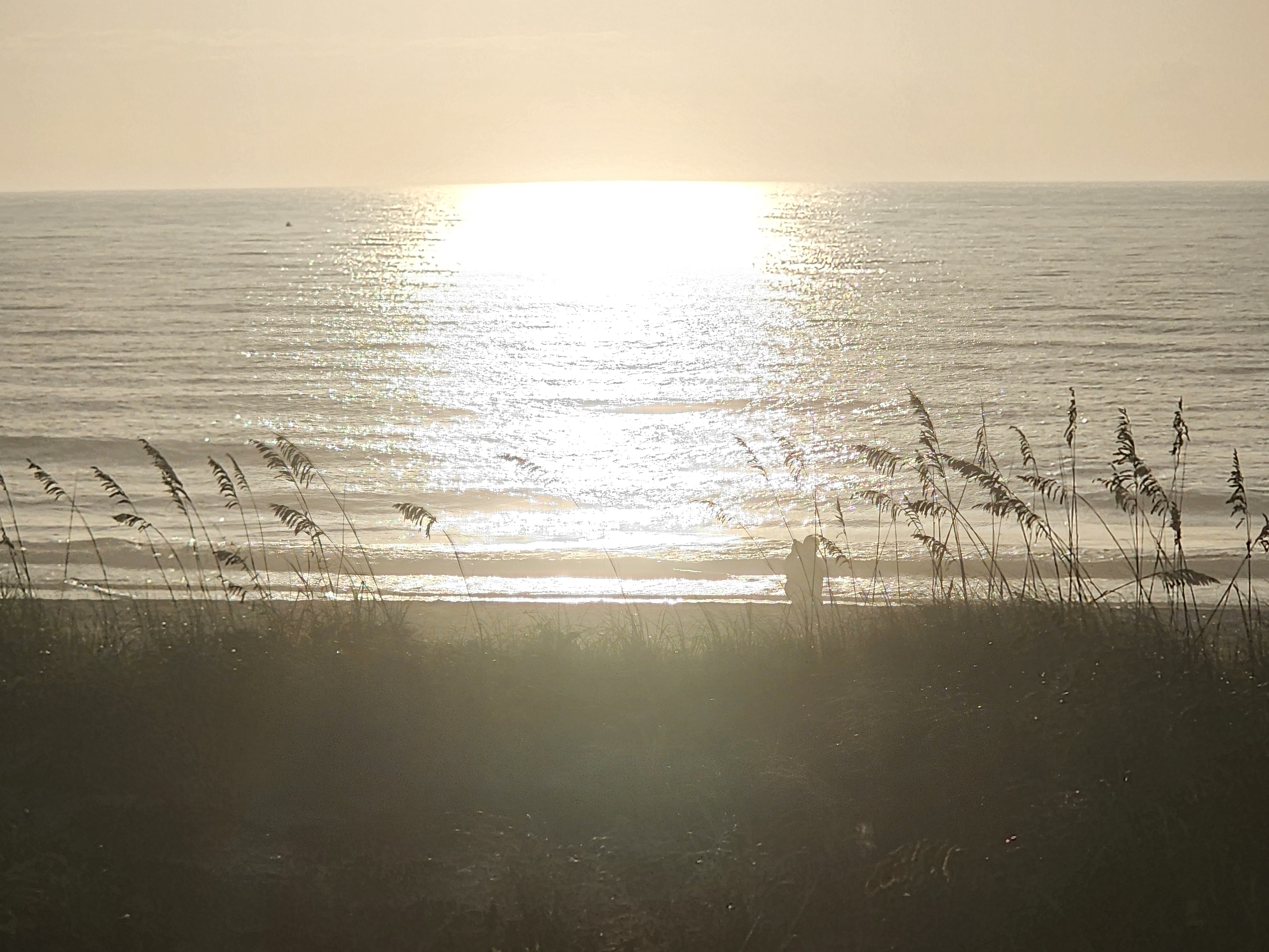 Sunrise glare over glassy ocean water, Cocoa Beach