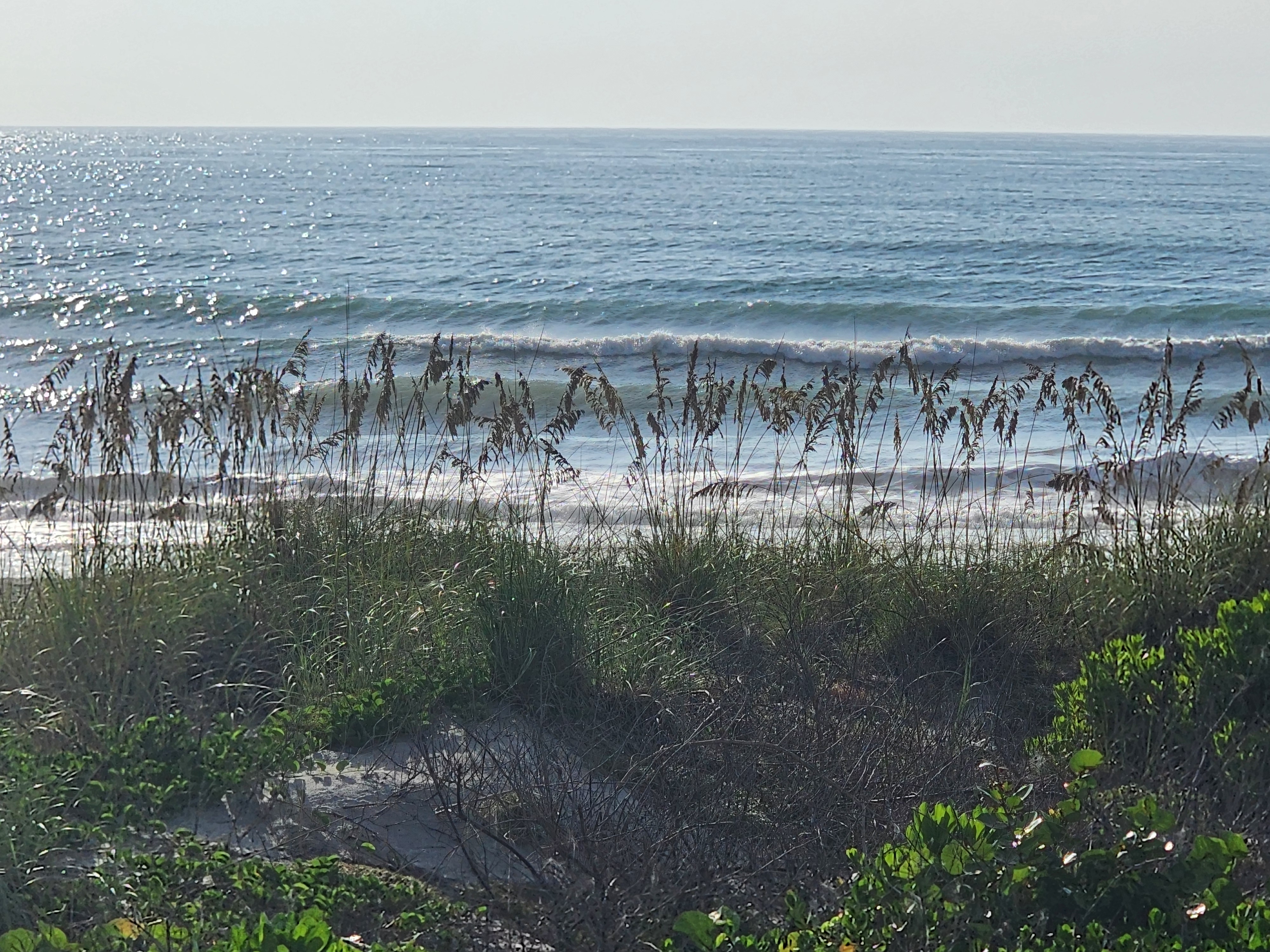 Sunlit swell lines breaking beyond the dune grass, South Cocoa Beach