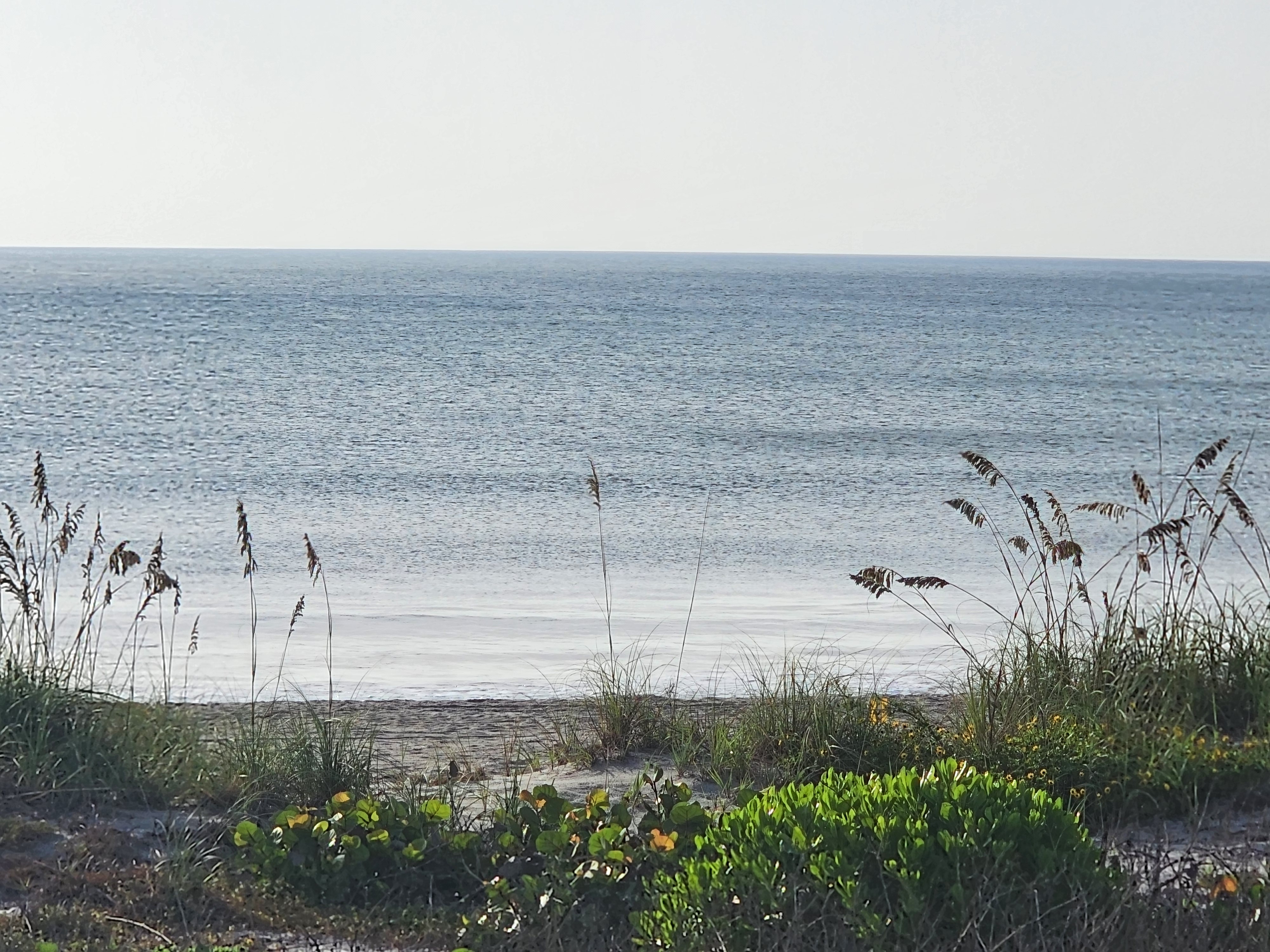 Flat calm water at high tide with sea oats in foreground, South Cocoa Beach
