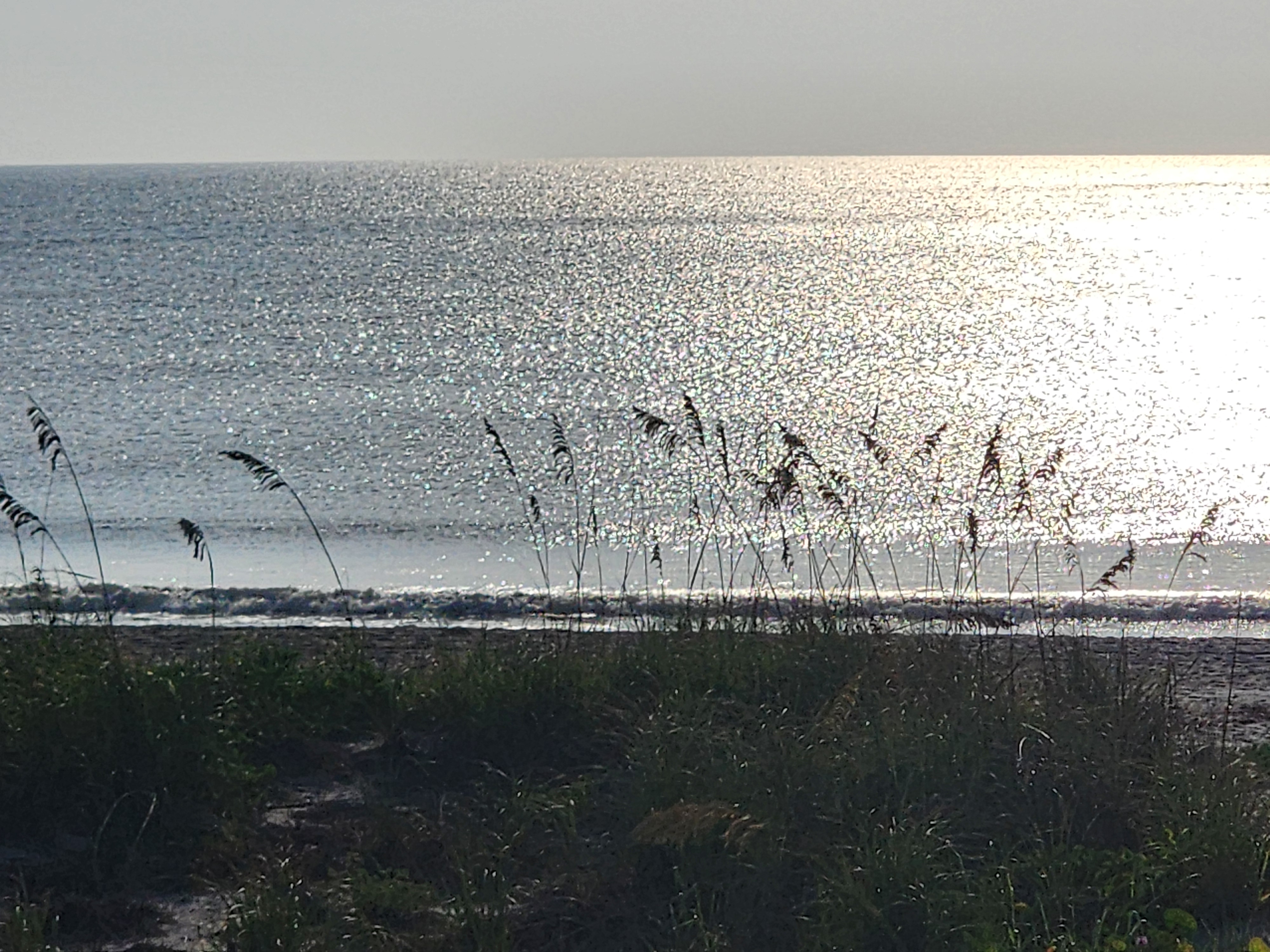 Sun glare on flat, windblown water beyond the dune grass, South Cocoa Beach