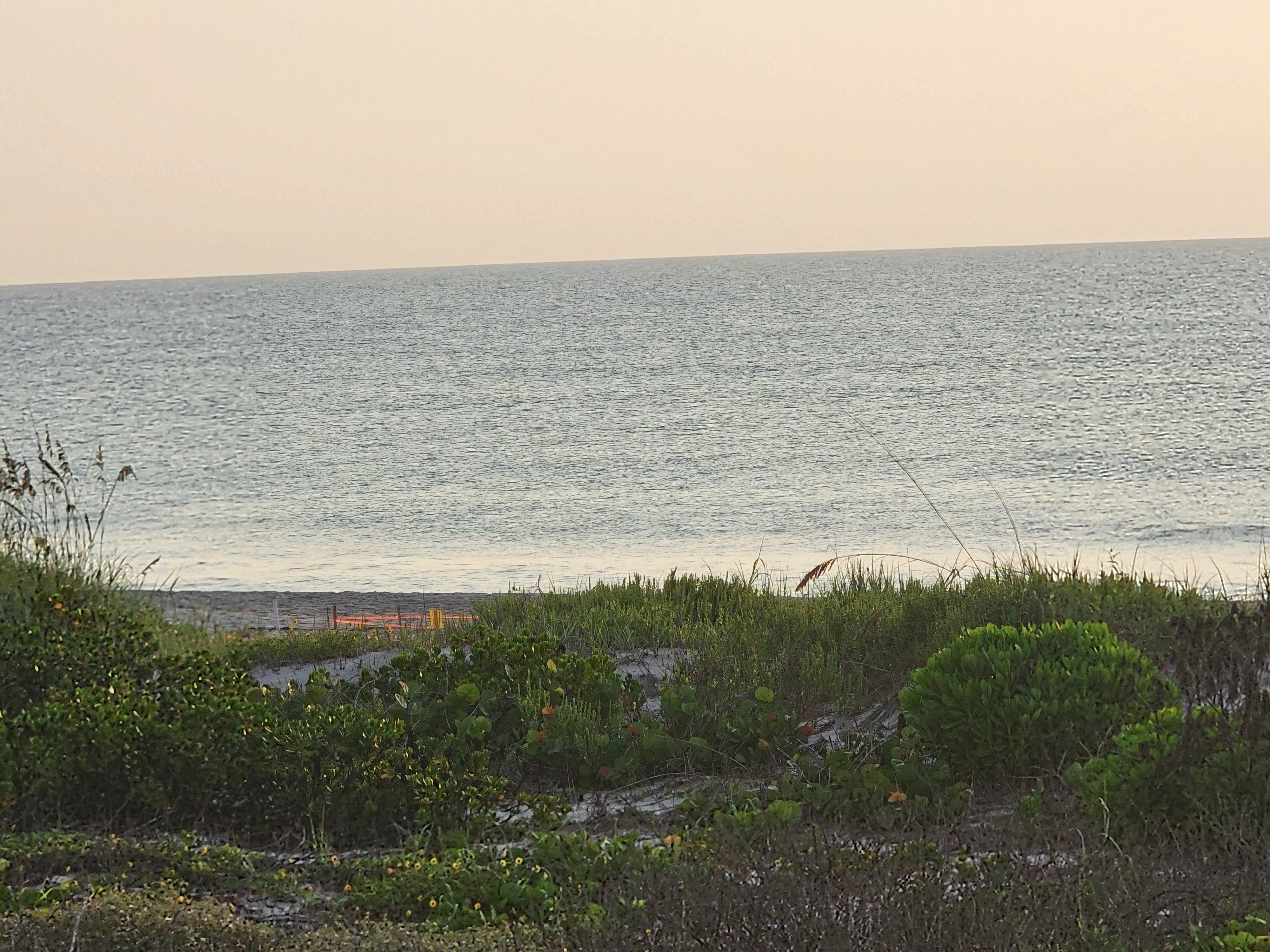Sun glare on flat, windblown water beyond the dune grass, South Cocoa Beach