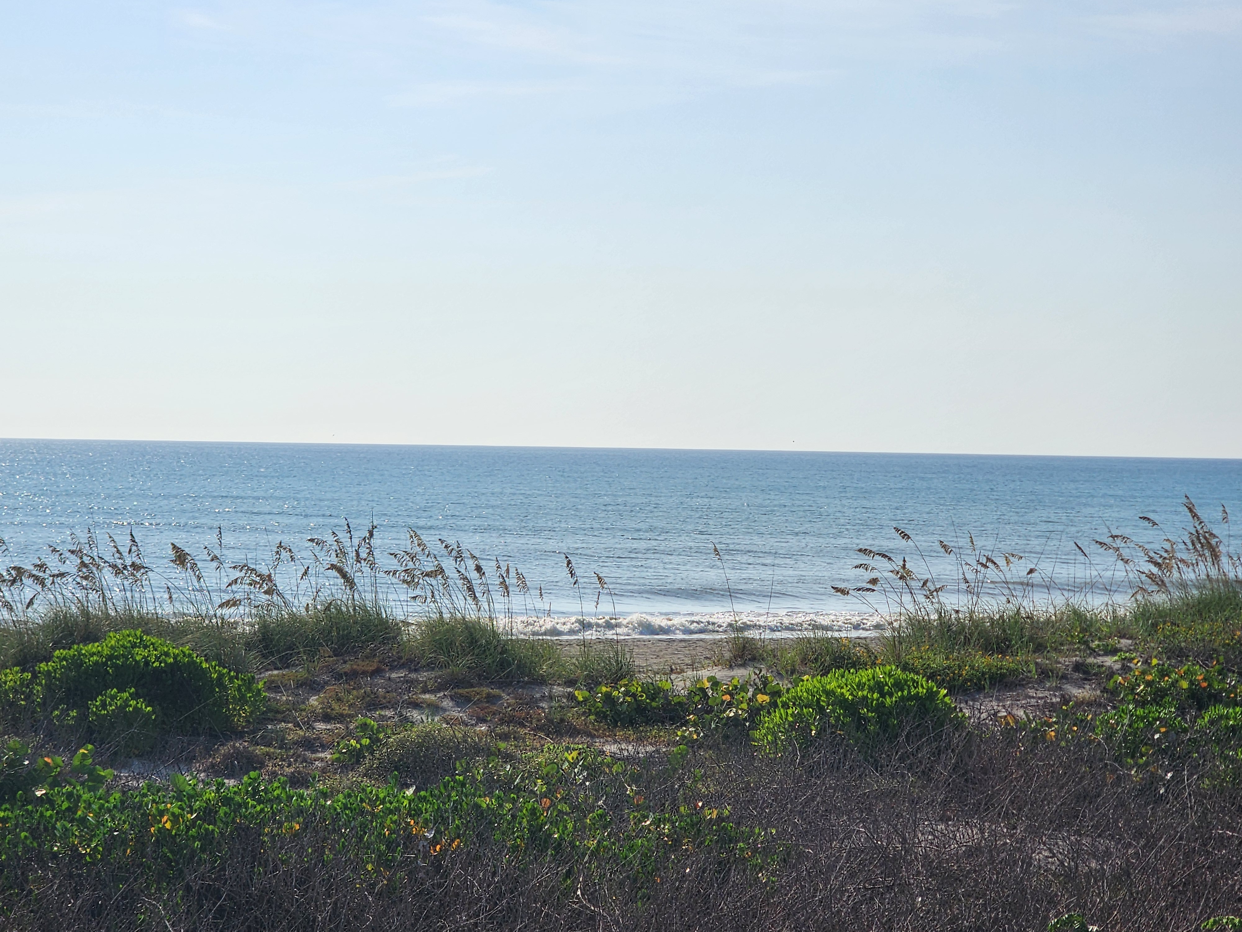 Sea oats and dune grass framing a calm, glassy horizon at high tide