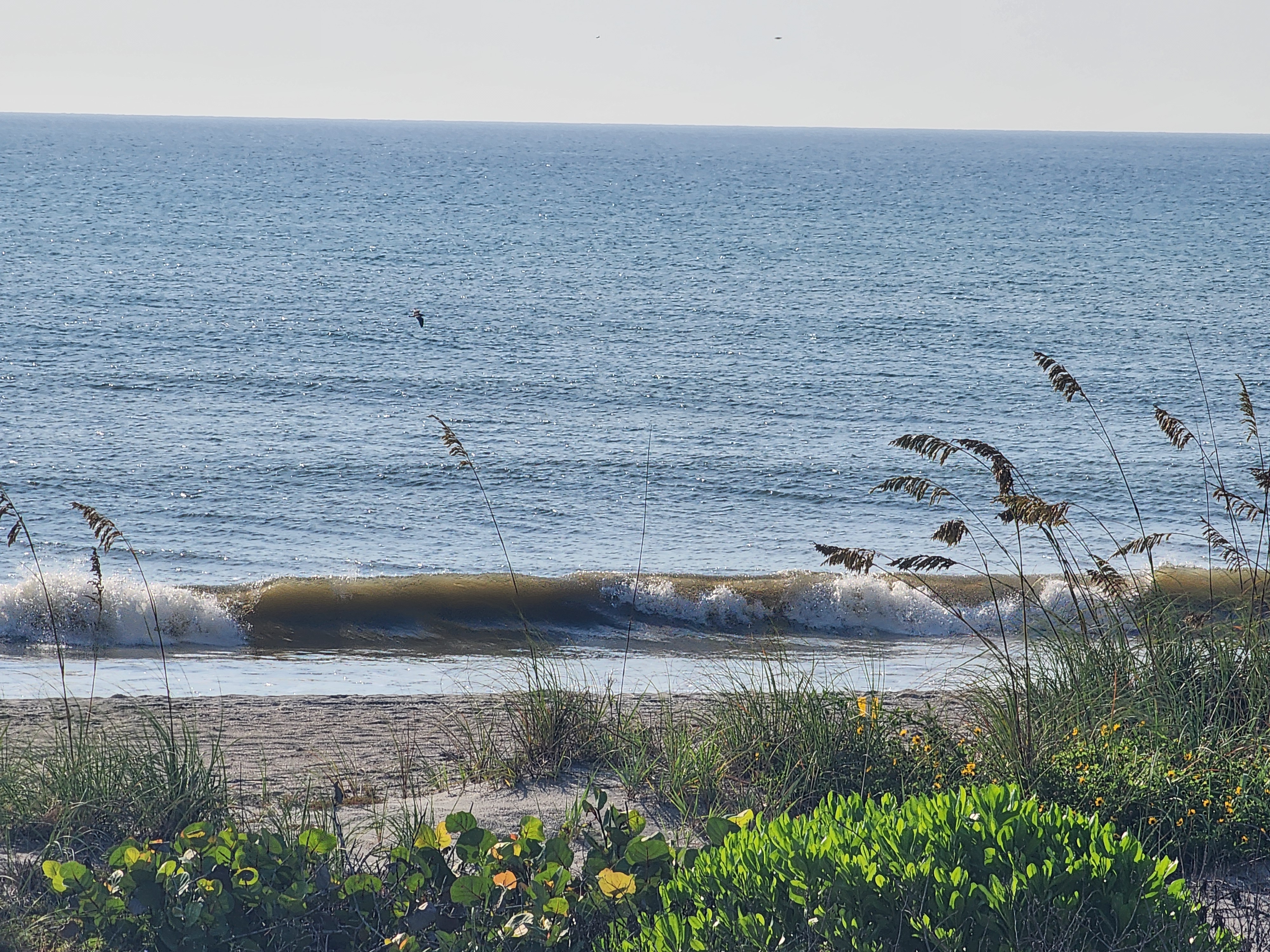 Small ankle-high wave breaking gently along the shoreline
