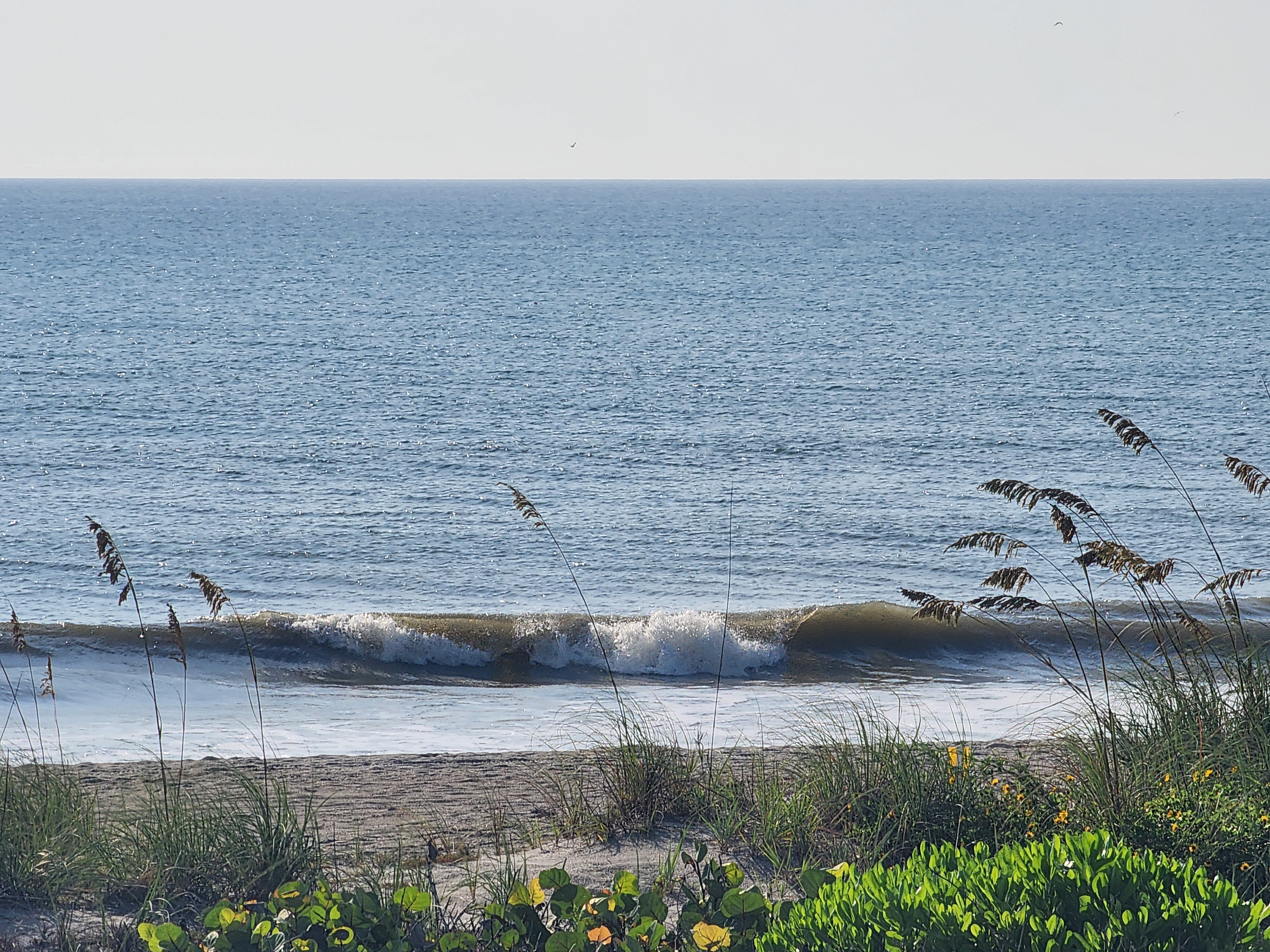 Close-up of a soft, wind-blown wave lapping the sand