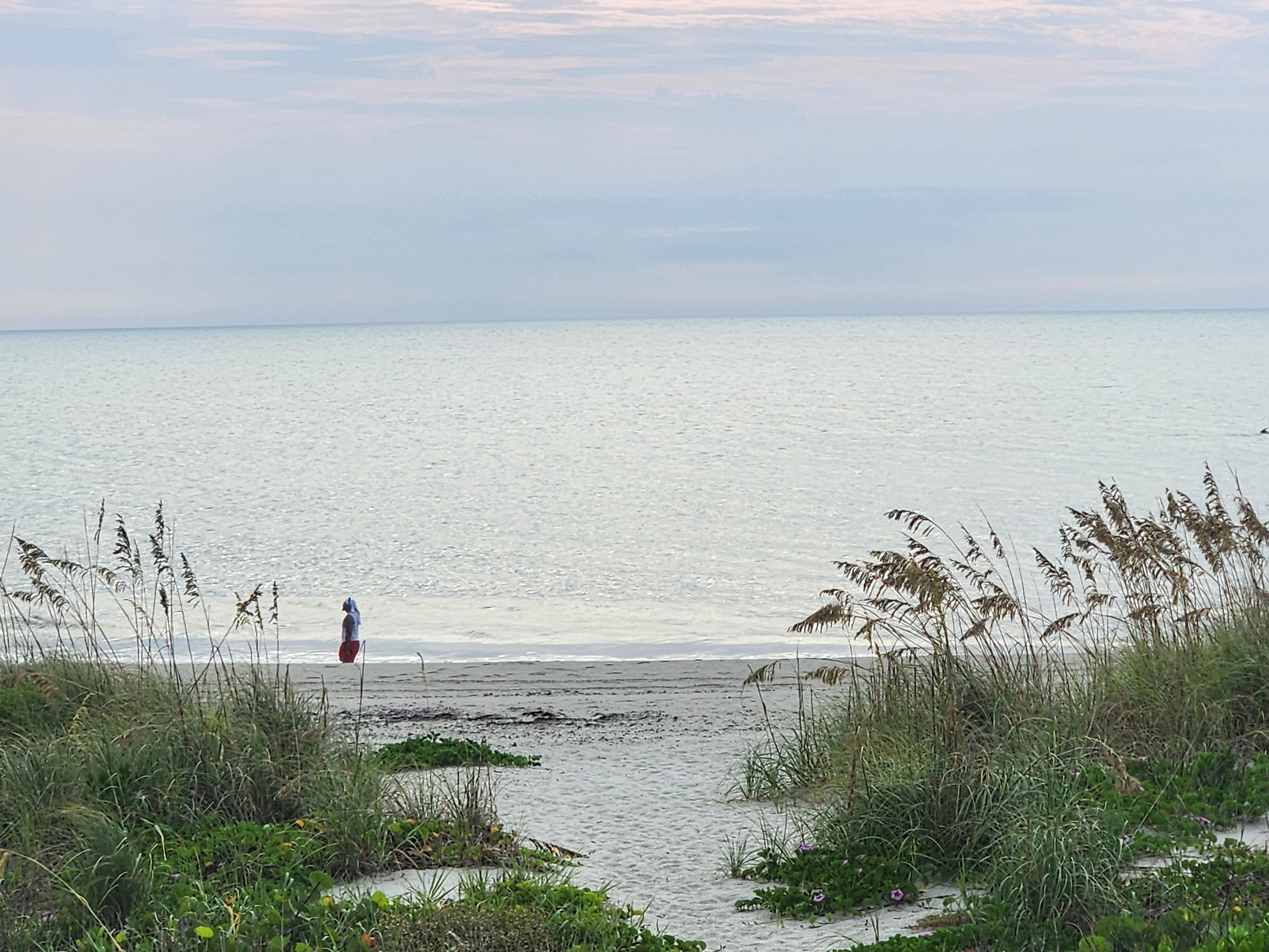 Sea oats framing a walker in red shorts at the flat, glassy shoreline