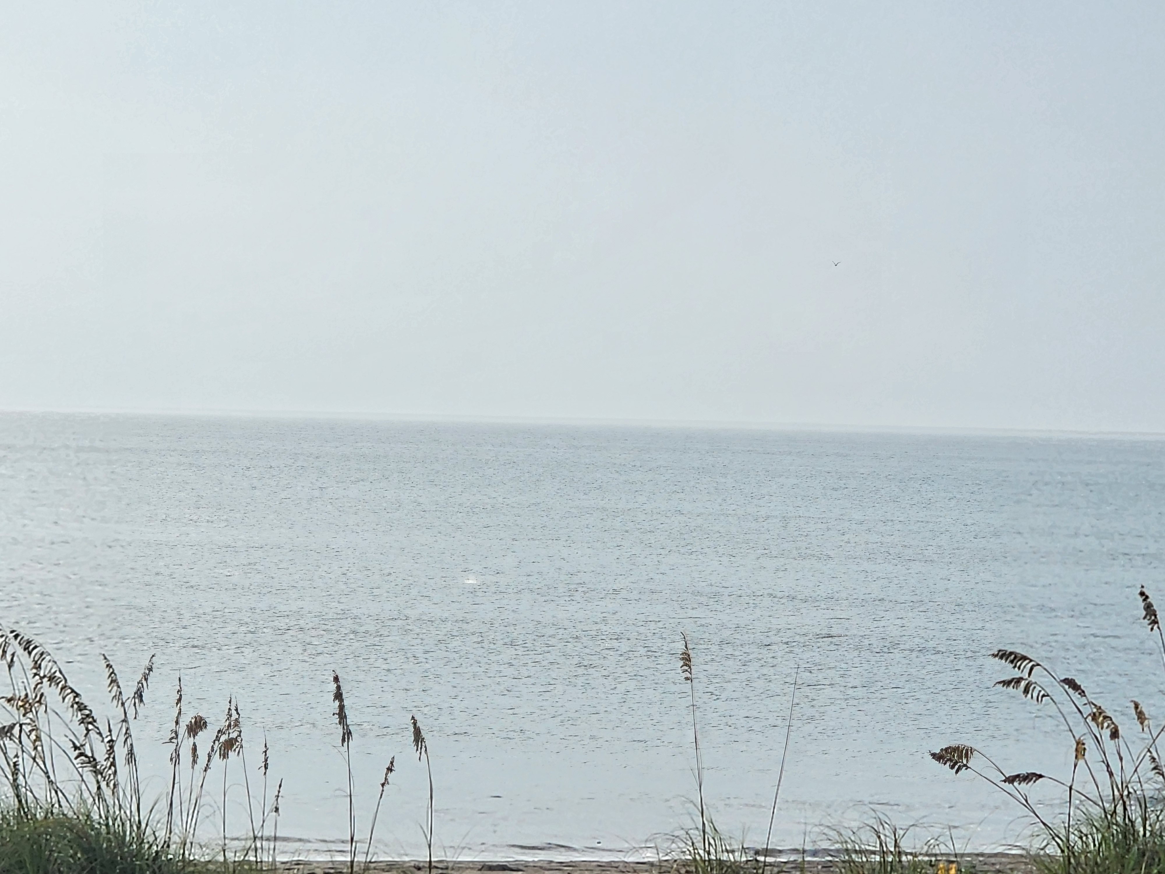 Flat, glassy ocean under a hazy sky past dune grass, South Cocoa Beach