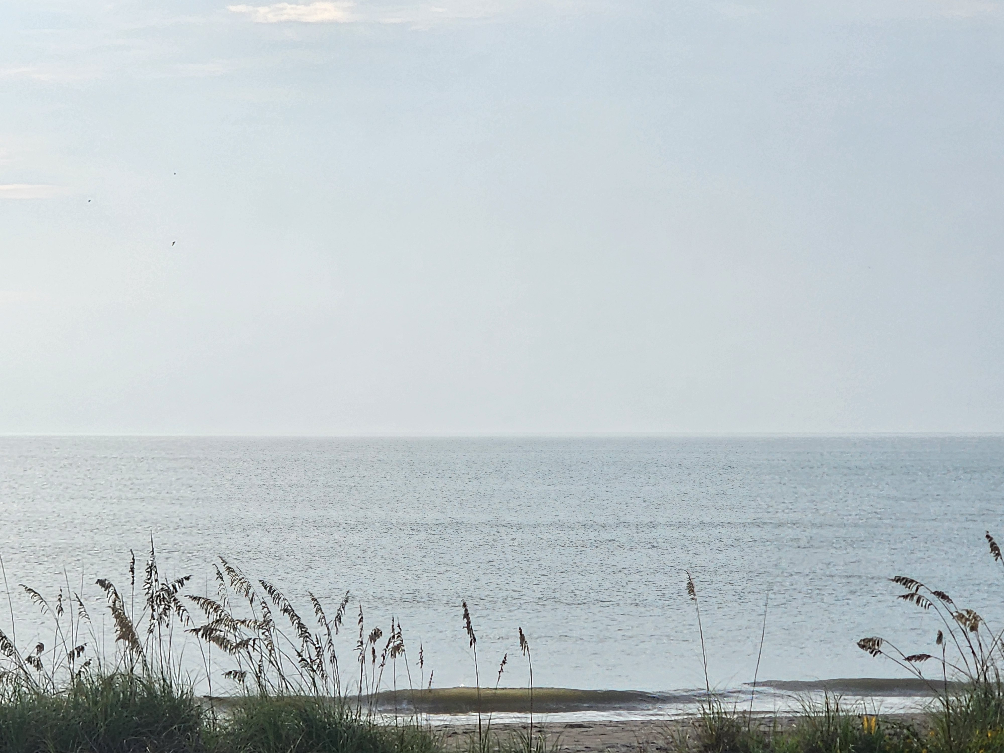 Flat ocean horizon with sea oats framing the shot, South Cocoa Beach