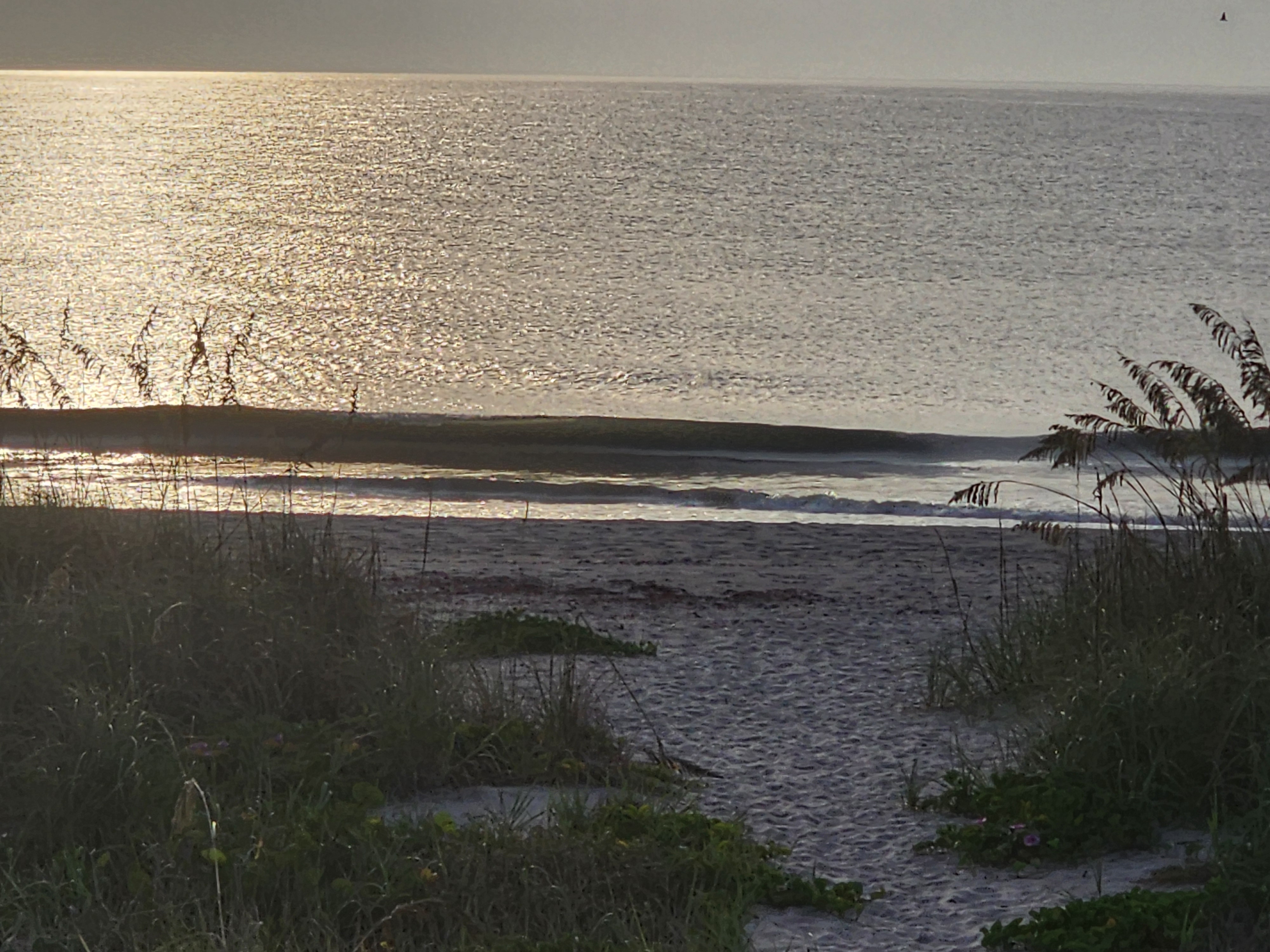 Small wave breaking onshore at midtide with golden morning light, South Cocoa Beach