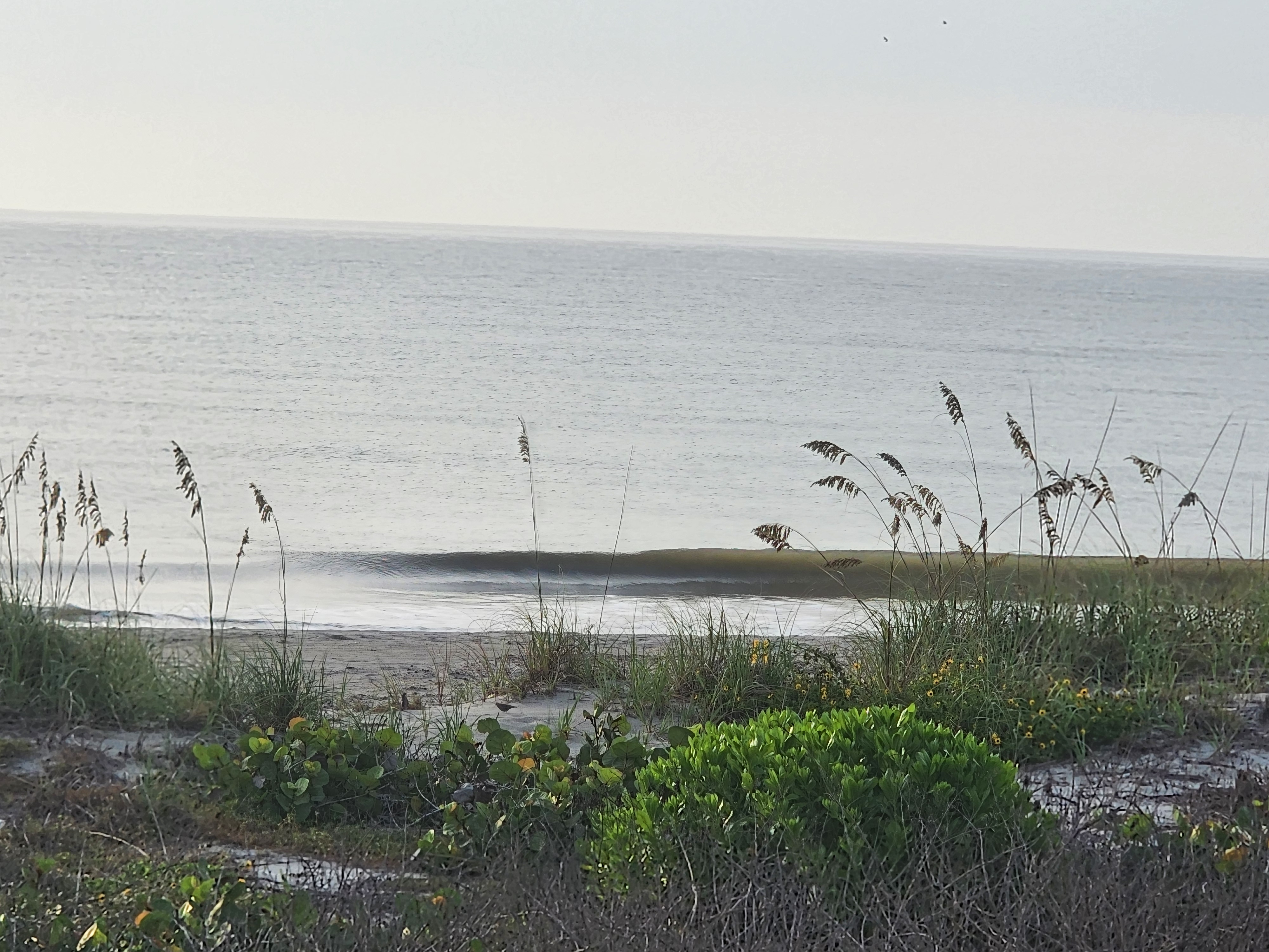 Golden hour wave breaking onshore framed by sea oats, South Cocoa Beach