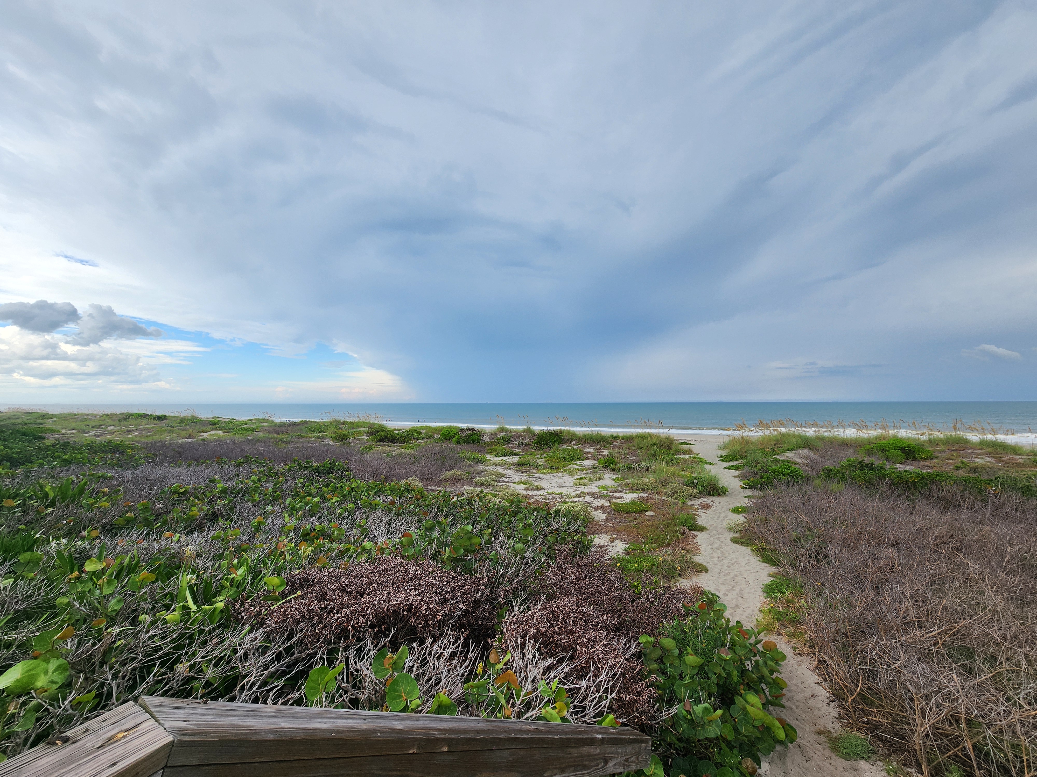 View from the wooden dune crossover looking out over sea grape and dune vegetation to the beach, with a rain shower visible offshore under a broad cloud shelf
