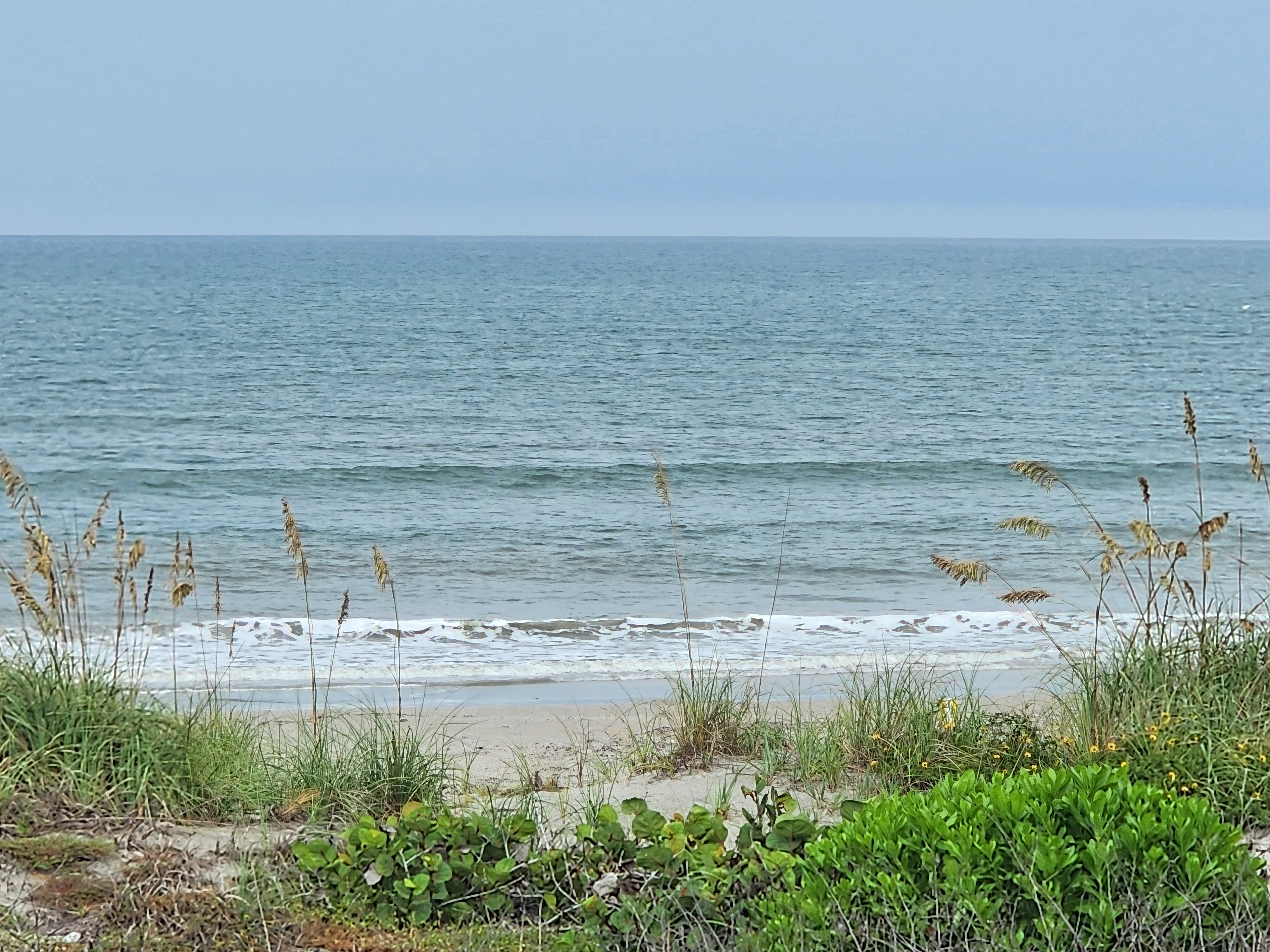 Overcast afternoon with small lines rolling in past tall sea oats and dune grass