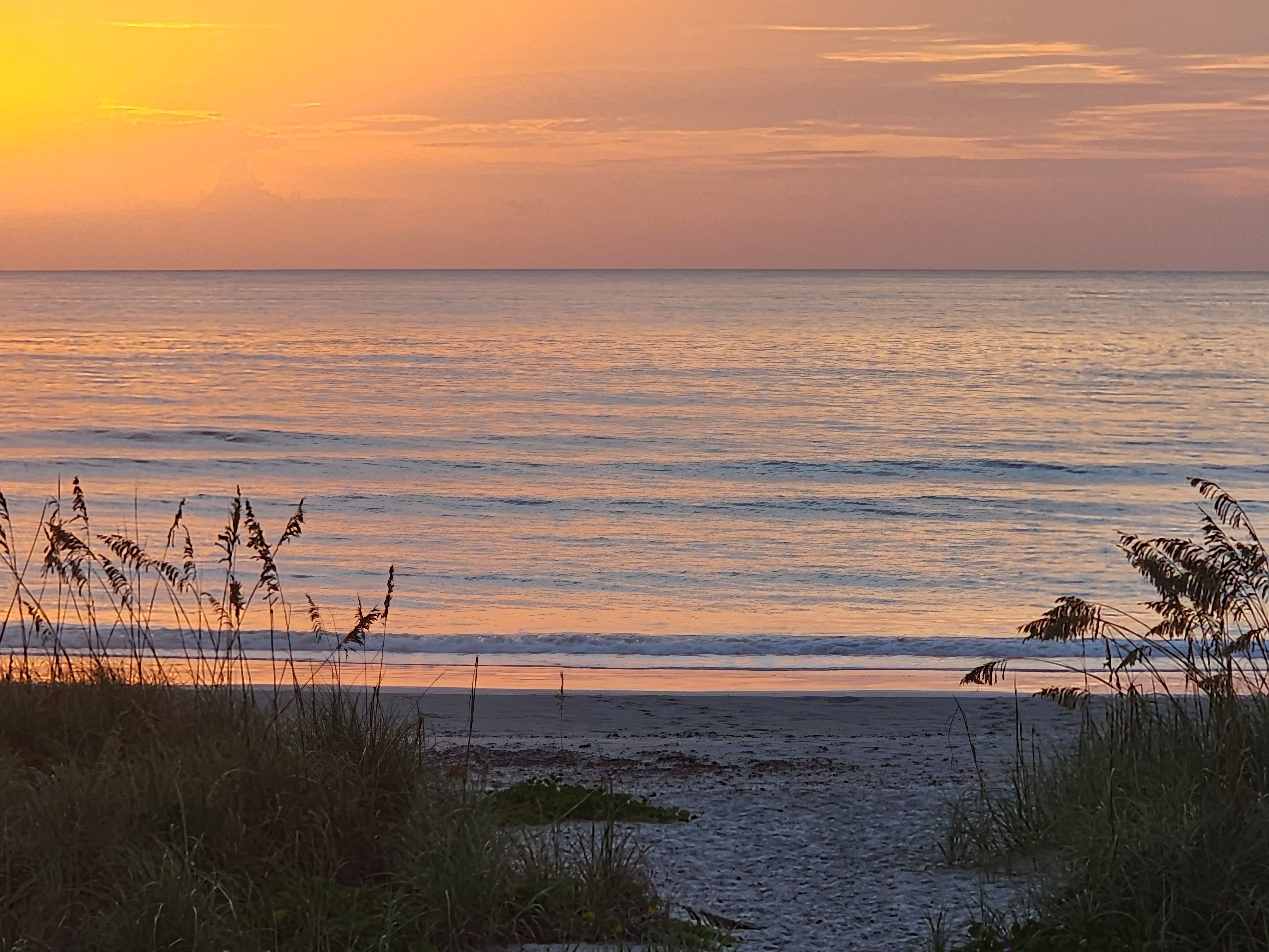 Golden sunrise glow over glassy water with small lines rolling toward the beach, sea oats framing the shot