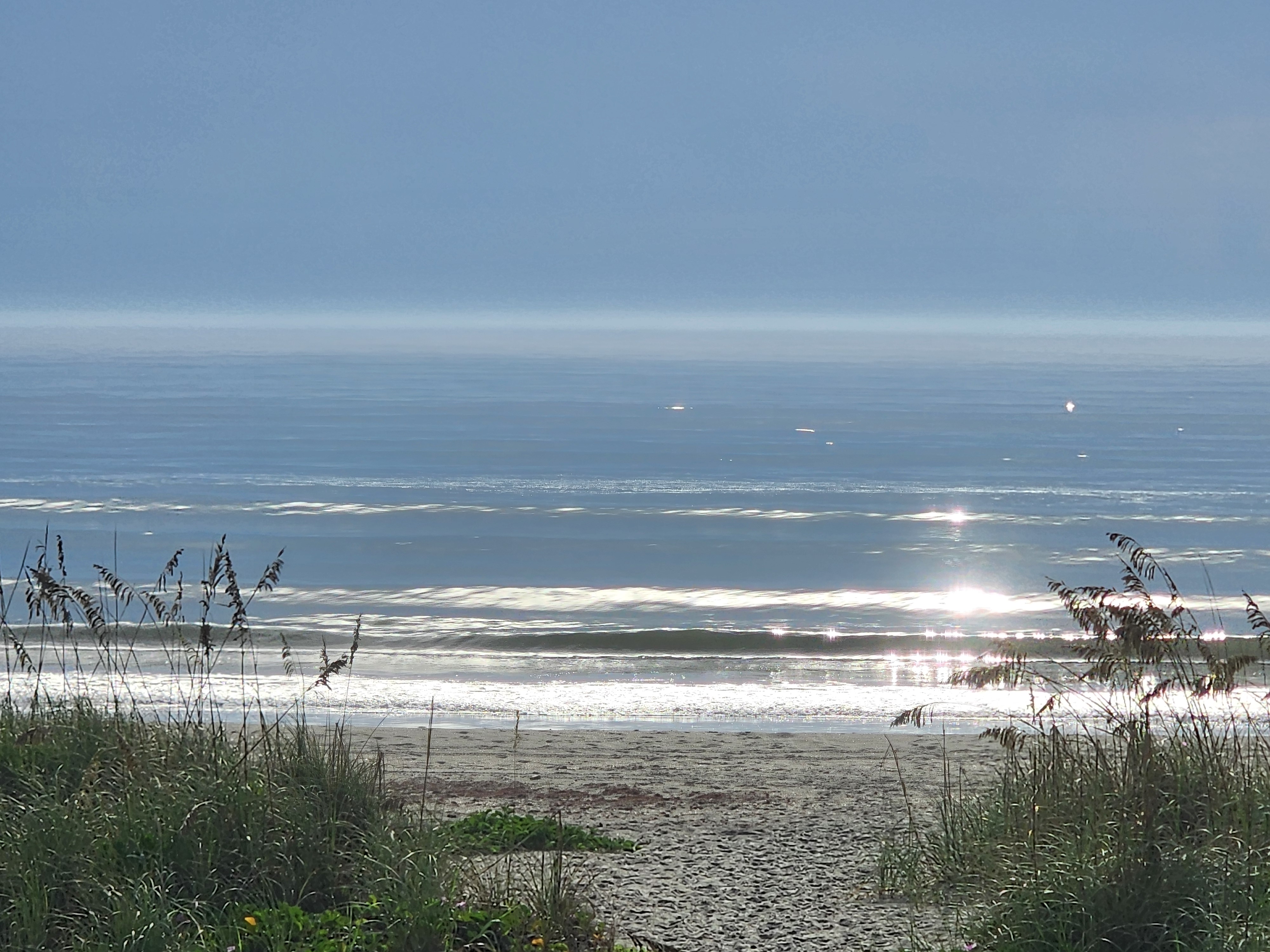 Glassy 1-2 foot wave peeling toward the beach at 32nd Street with sun glinting hard off the water and sea oats framing the foreground