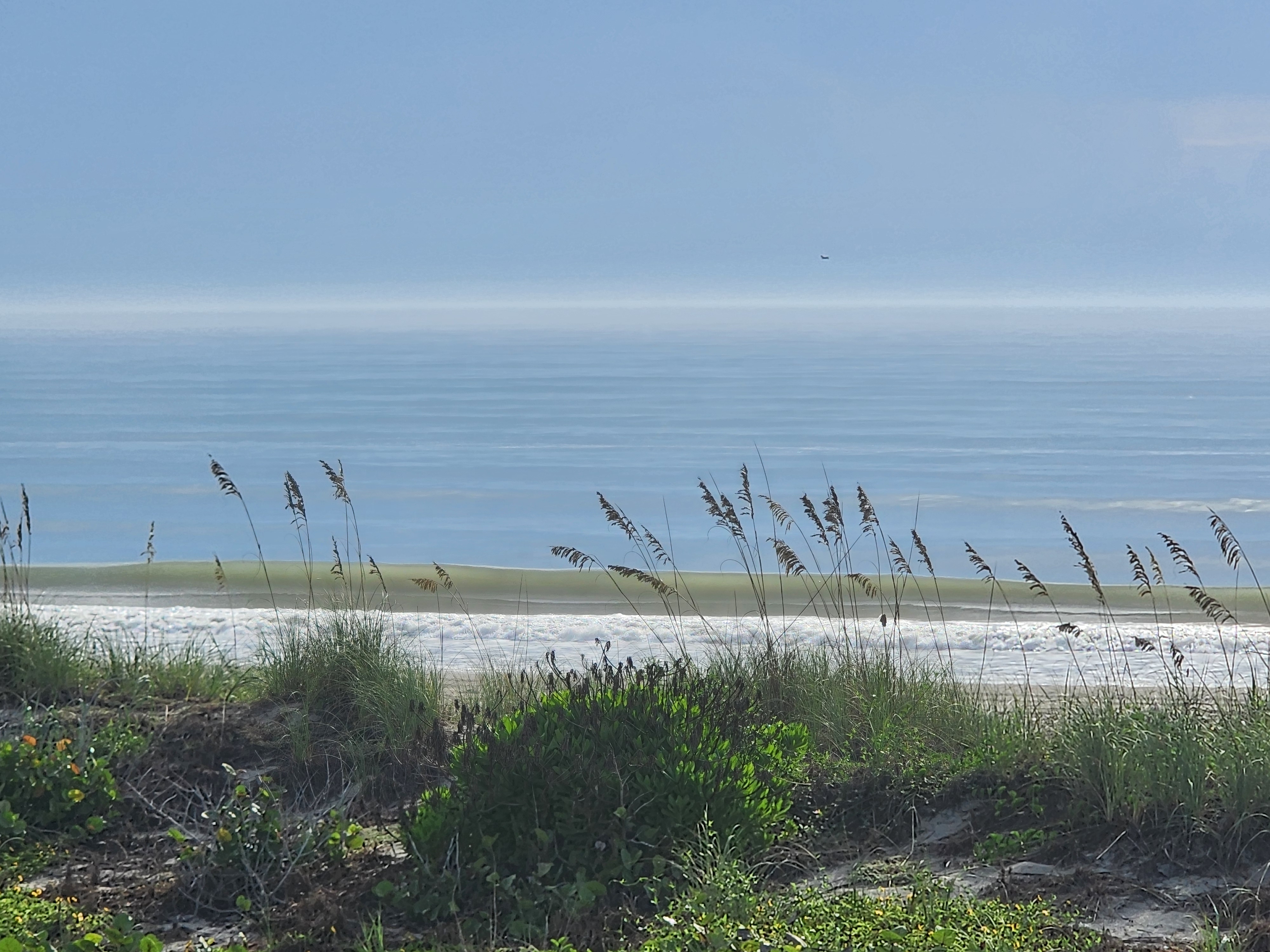 Hazy blue morning over dead flat glassy water with a small green line standing up outside, tall sea oats and dune vegetation in front