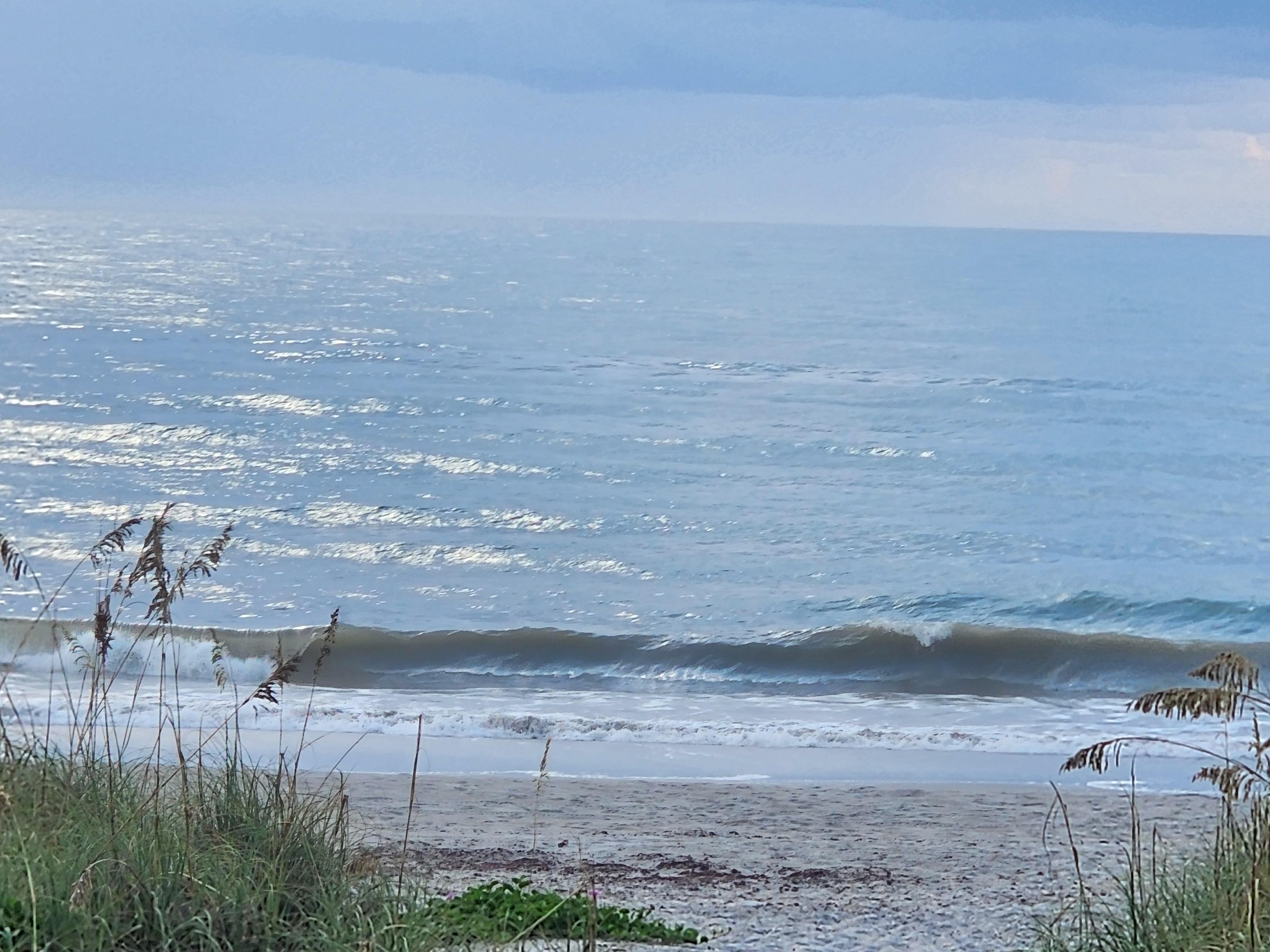 Clean 1-2 foot line standing up and peeling toward the beach under a hazy blue sky, dune grass and sea oats in the foreground at 32nd Street