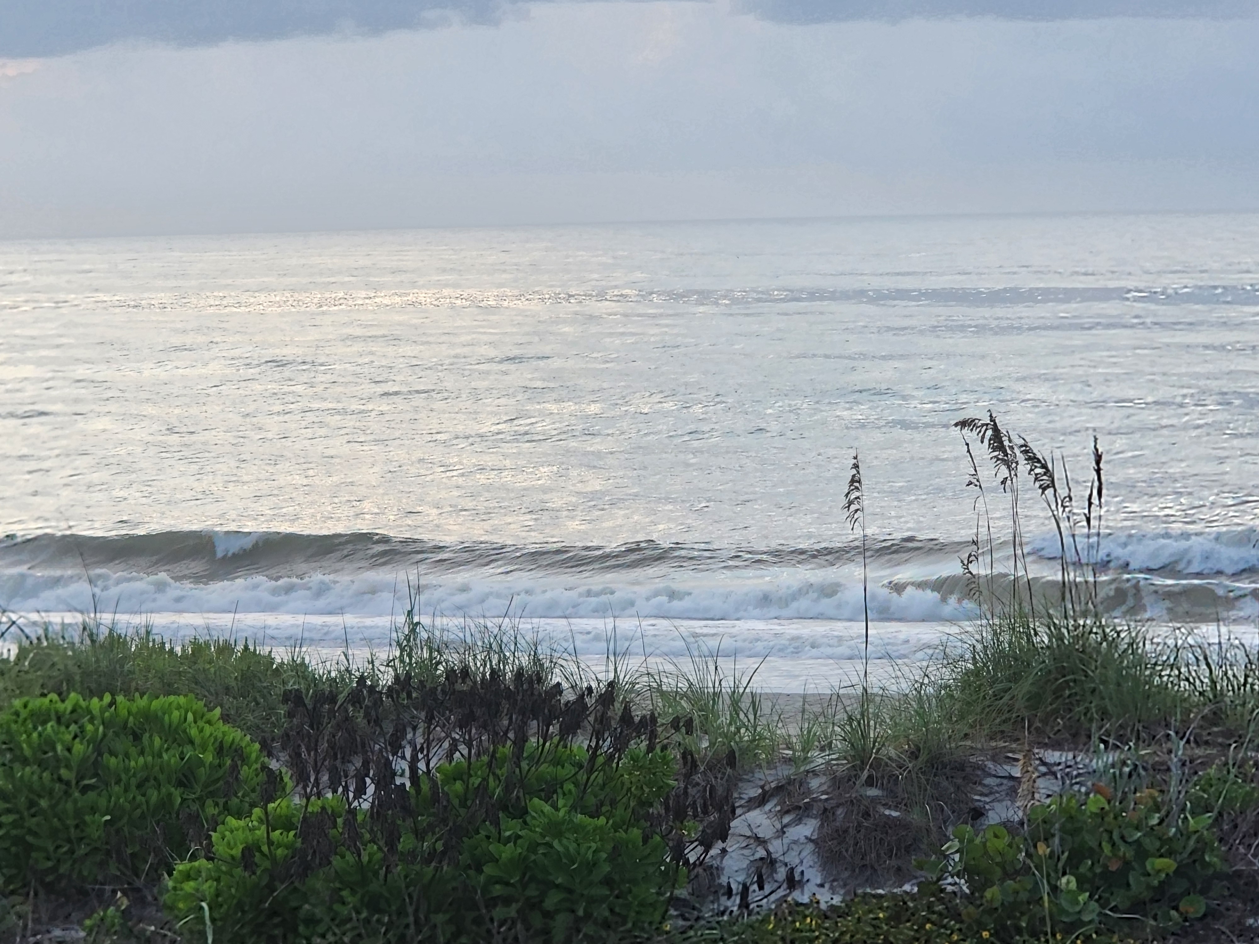Grey cloud bank over silvery water with a small wave breaking down the line, thick green dune vegetation and sea oats in front