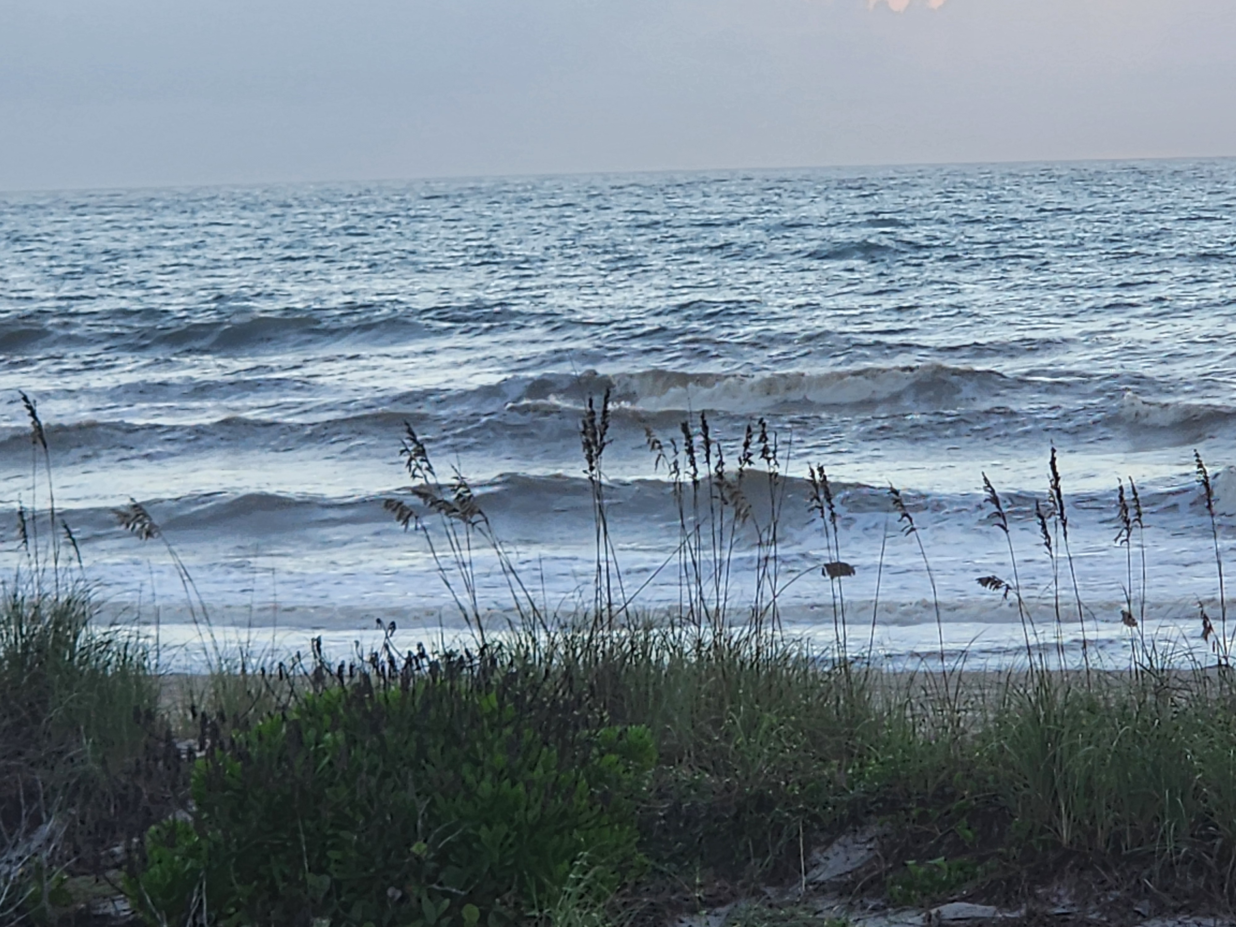 Grey-blue morning light on jumbled windblown surf, whitewater running down the beach with dune grass and sea grape in the foreground