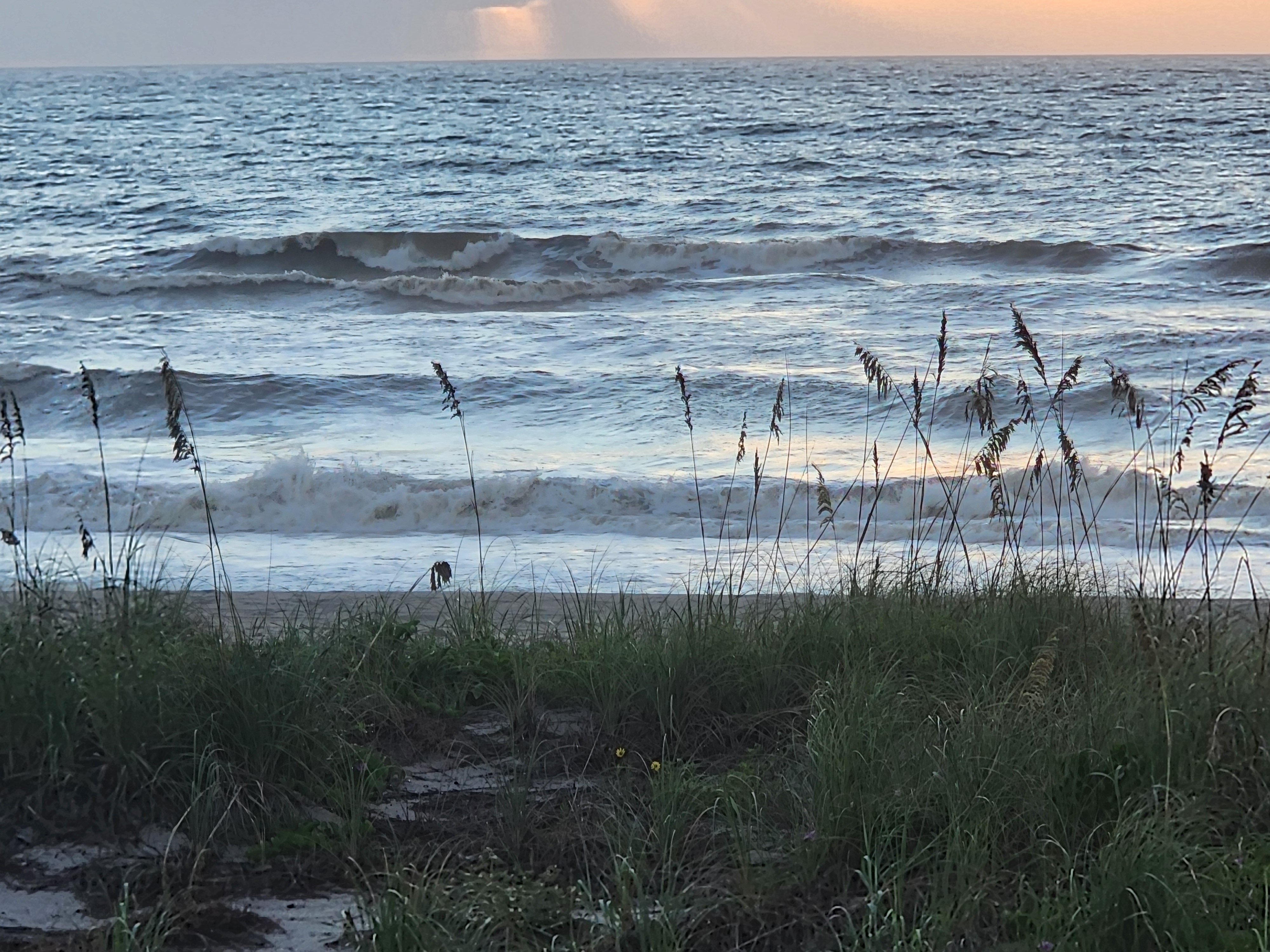 Wind-textured 2-4 foot sets breaking down the line at low tide, sea oats and beach sunflowers along the dune path in the foreground