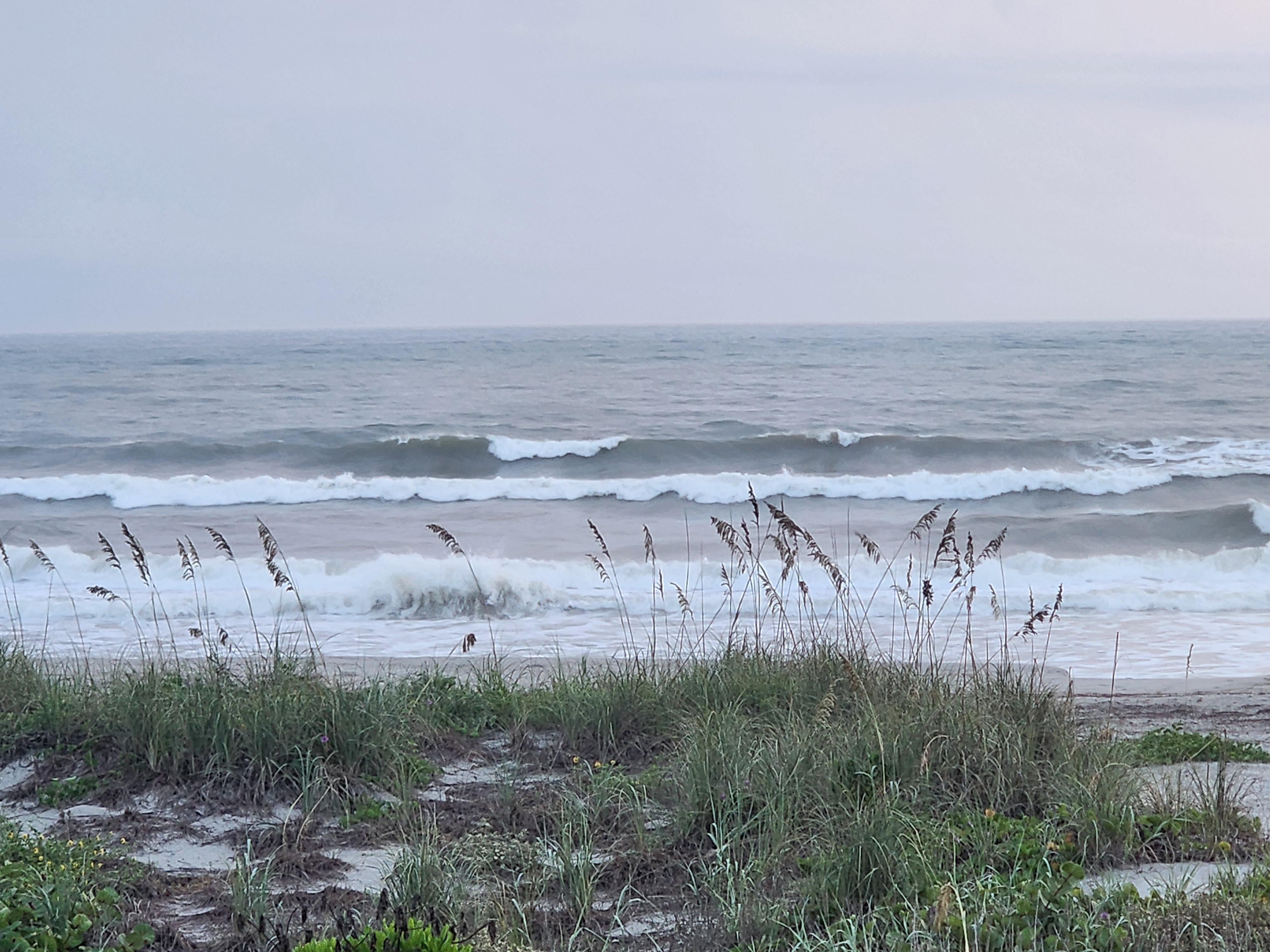 Clean 3-4 foot lined-up sets breaking down the beach at 32nd Street under an overcast grey morning sky, sea oats and dune grass in the foreground