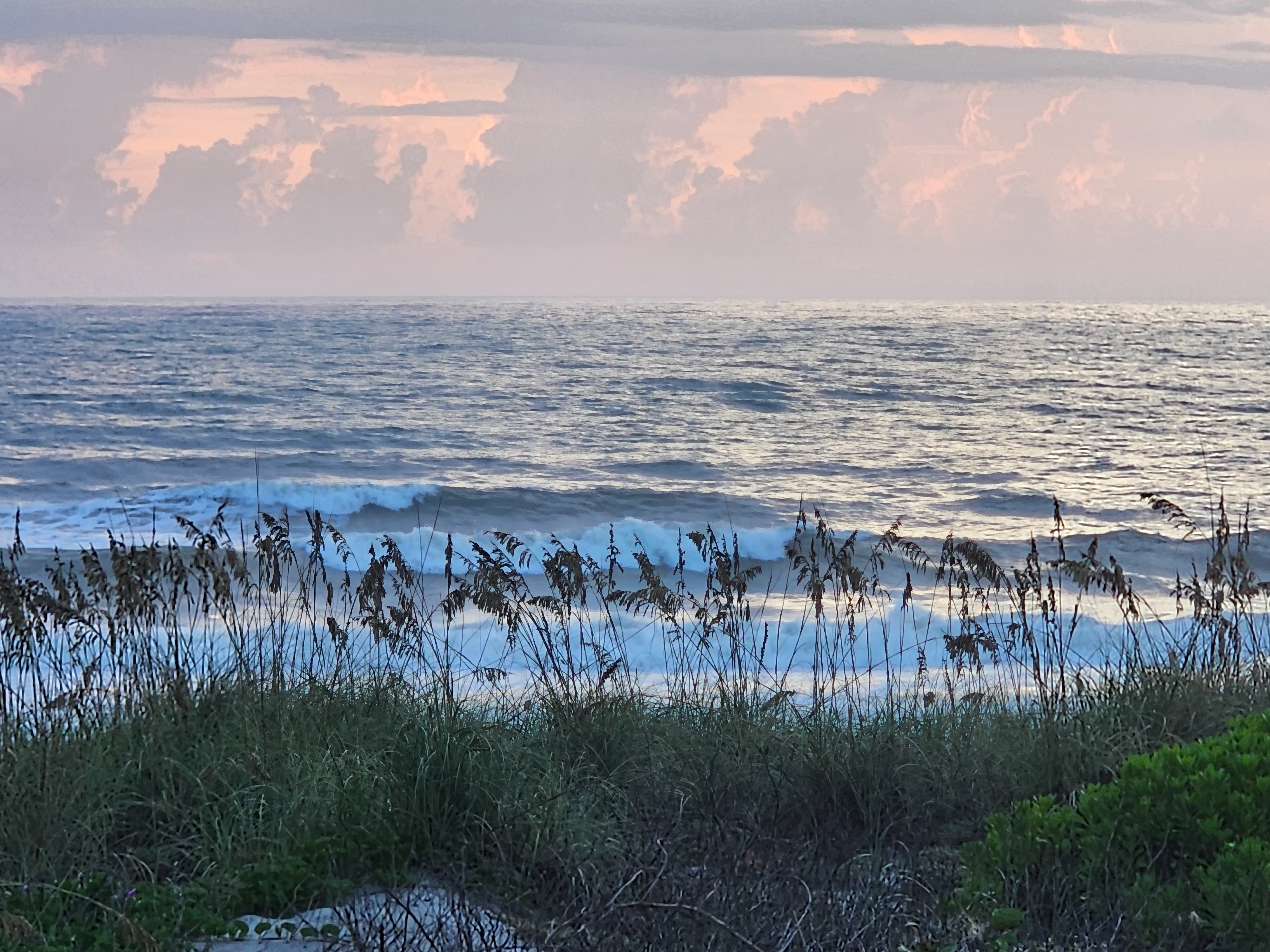 Chest-high wave peeling with a light east wind on it at dawn, pink and purple sunrise clouds stacked over the Atlantic behind silhouetted sea oats at South Cocoa Beach