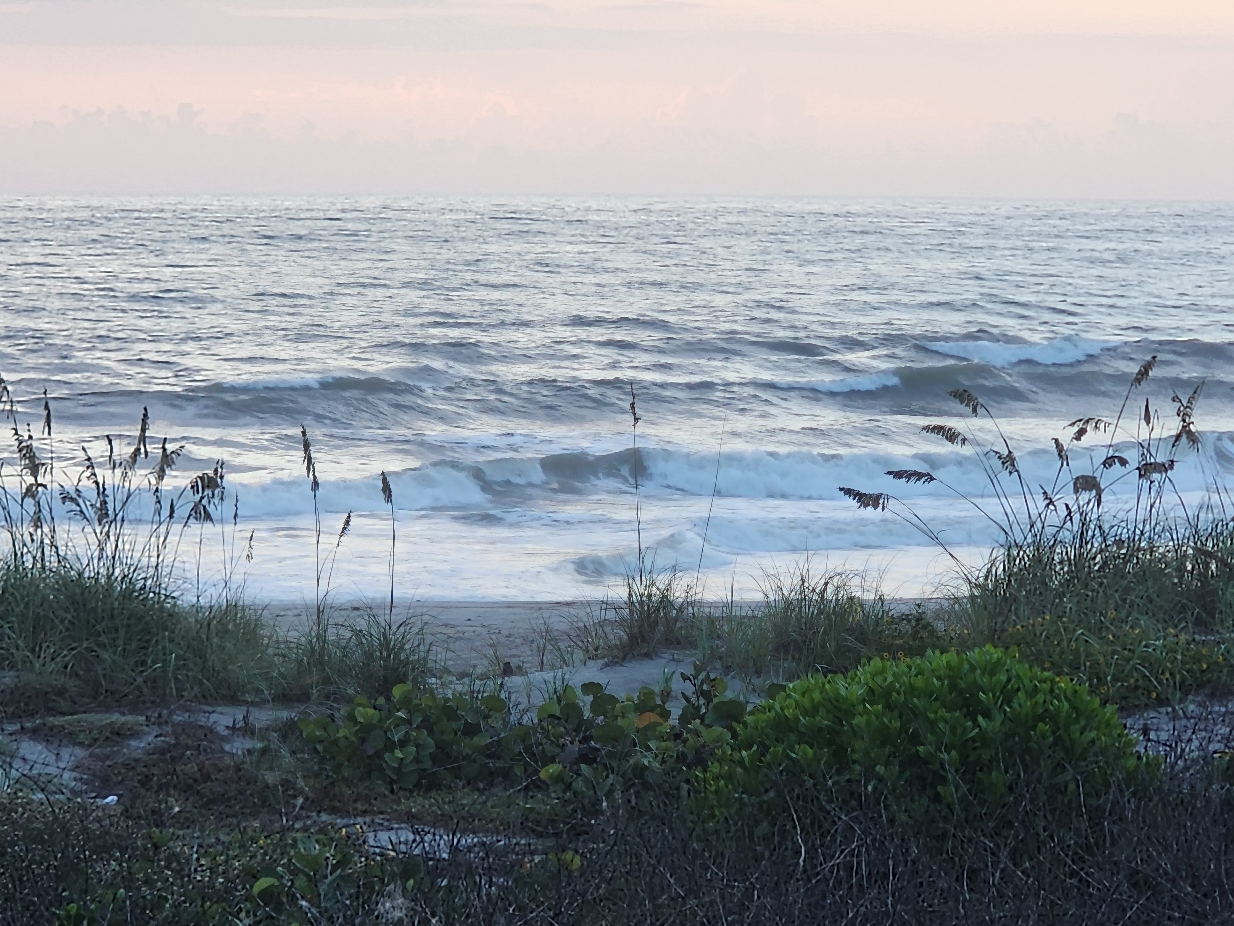Multiple lines of swell stacking up outside and breaking in sequence at low tide, soft pink dawn light with sea grape and dune grass along the path