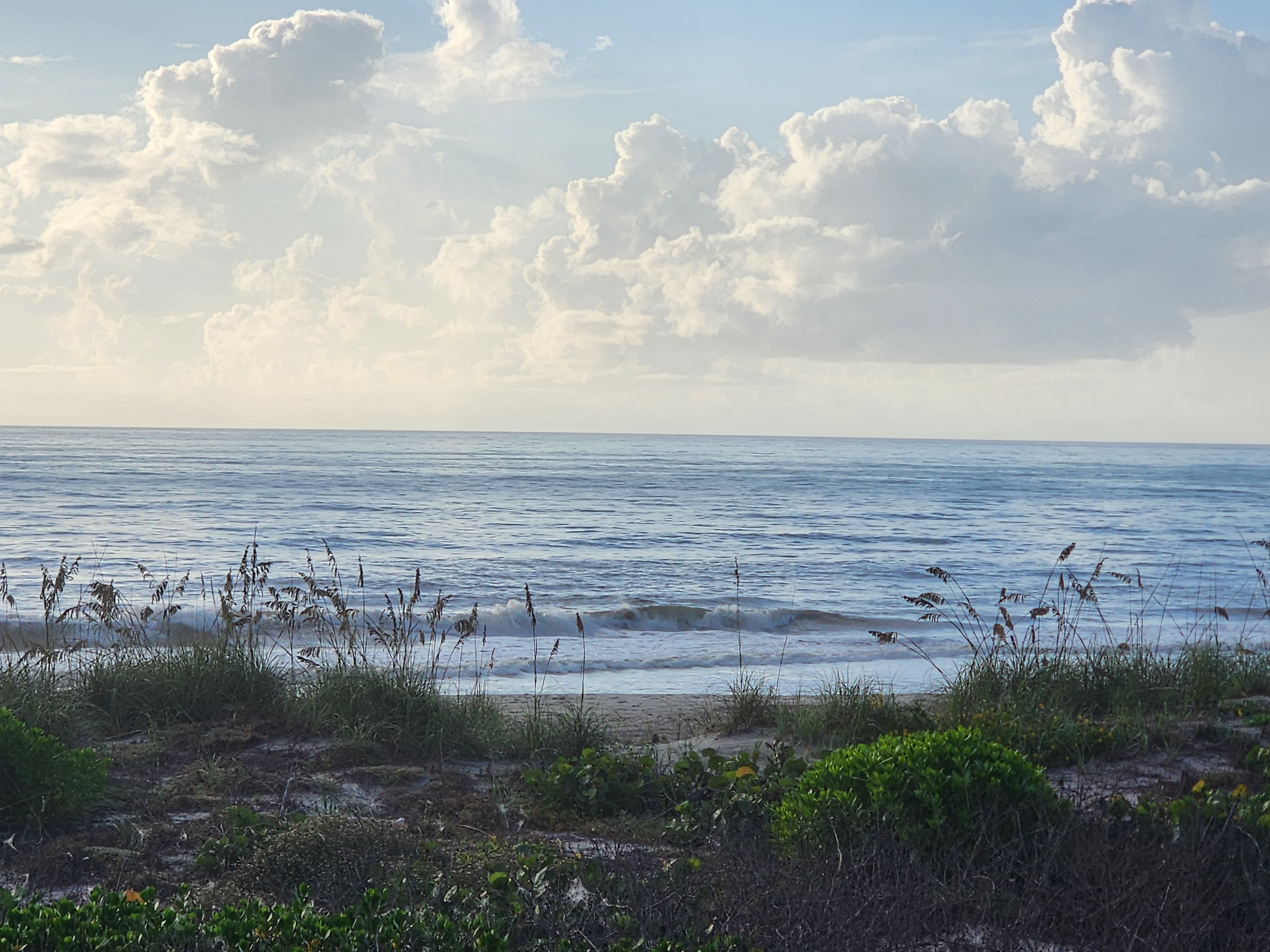 Clean 2-3 foot set peeling toward the beach at South Cocoa Beach with big summer cumulus stacked on the horizon and sea oats in the foreground