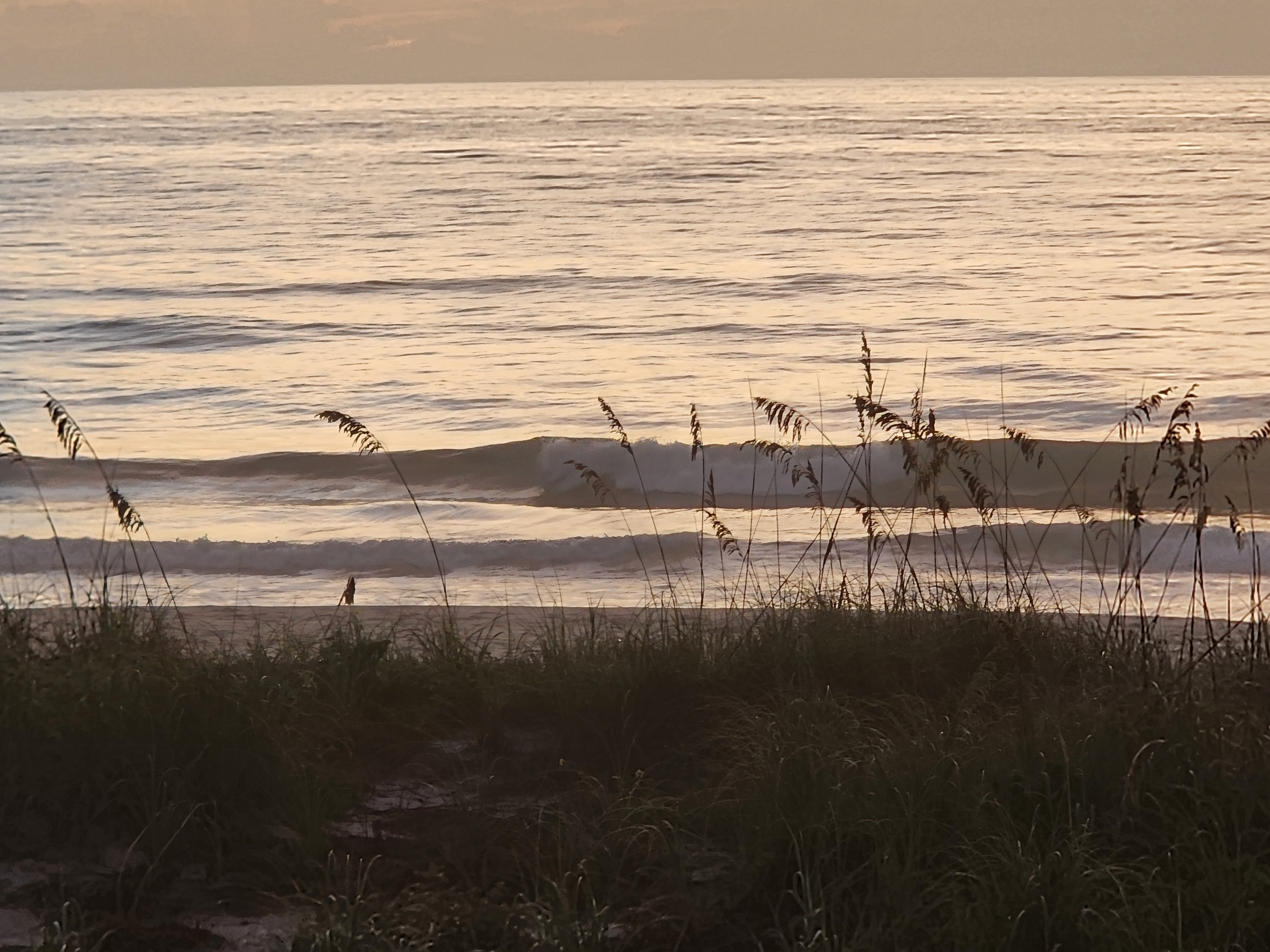 Chest-high wave breaking through golden sunrise light on the water at South Cocoa Beach, sea oats silhouetted along the dune