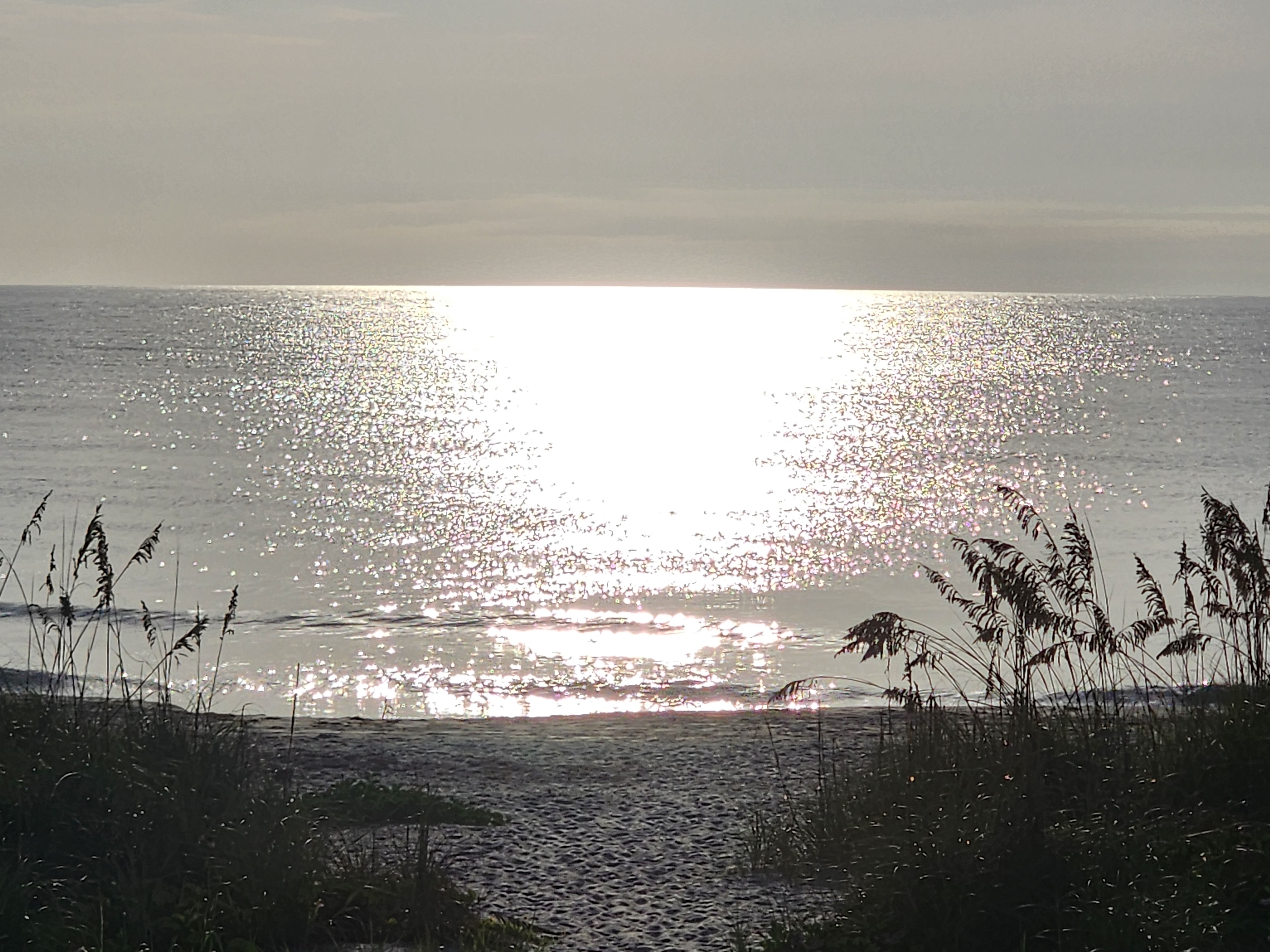Morning sun glitter spread wide across a flat calm ocean seen through silhouetted sea oats at South Cocoa Beach
