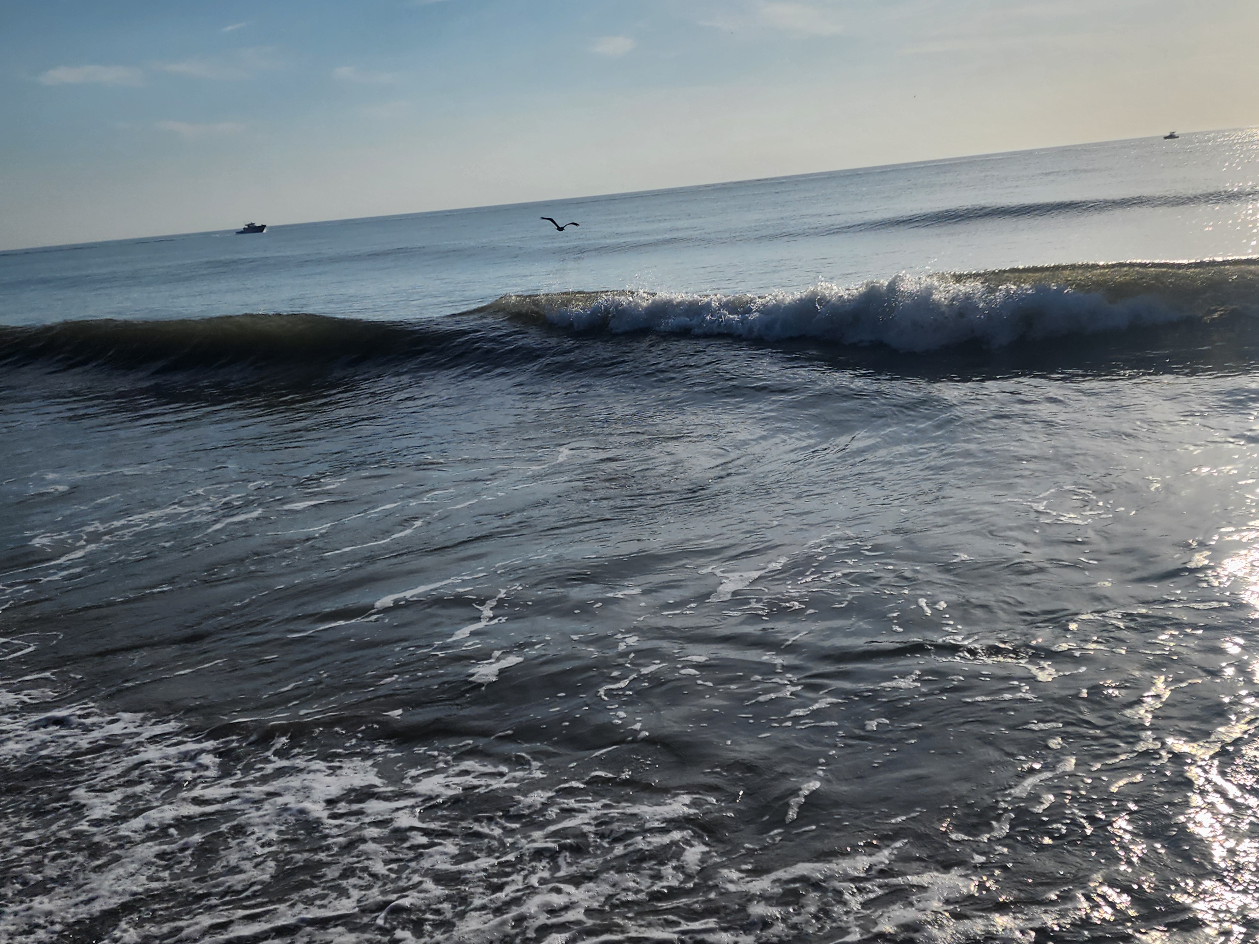 One-foot wave breaking onshore at Picnic Tables with a pelican gliding low over the water and fishing boats on the flat horizon