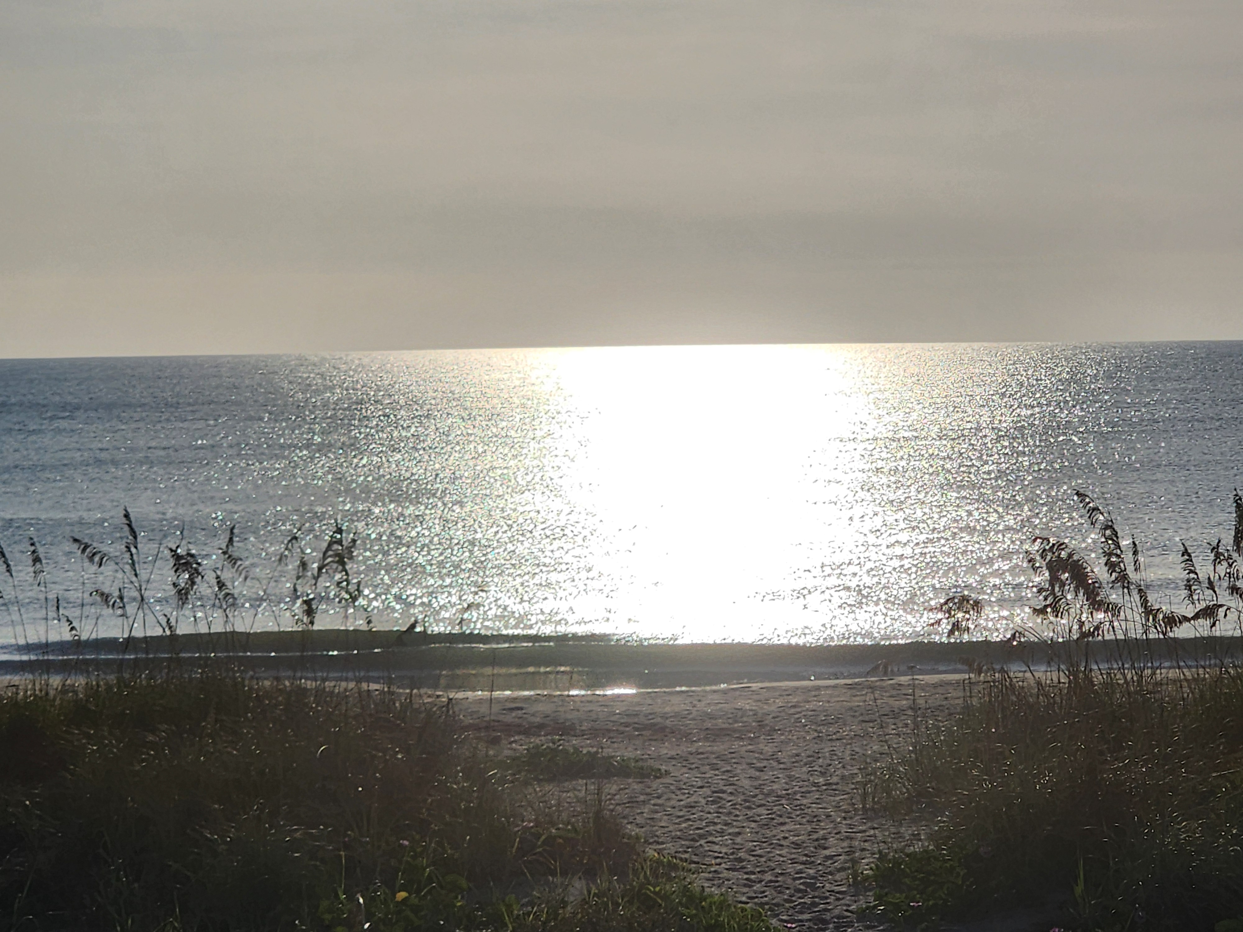 Morning sun glaring off the Atlantic at Cocoa Beach with a thin line of whitewater breaking close to shore, sea oats silhouetted in the foreground