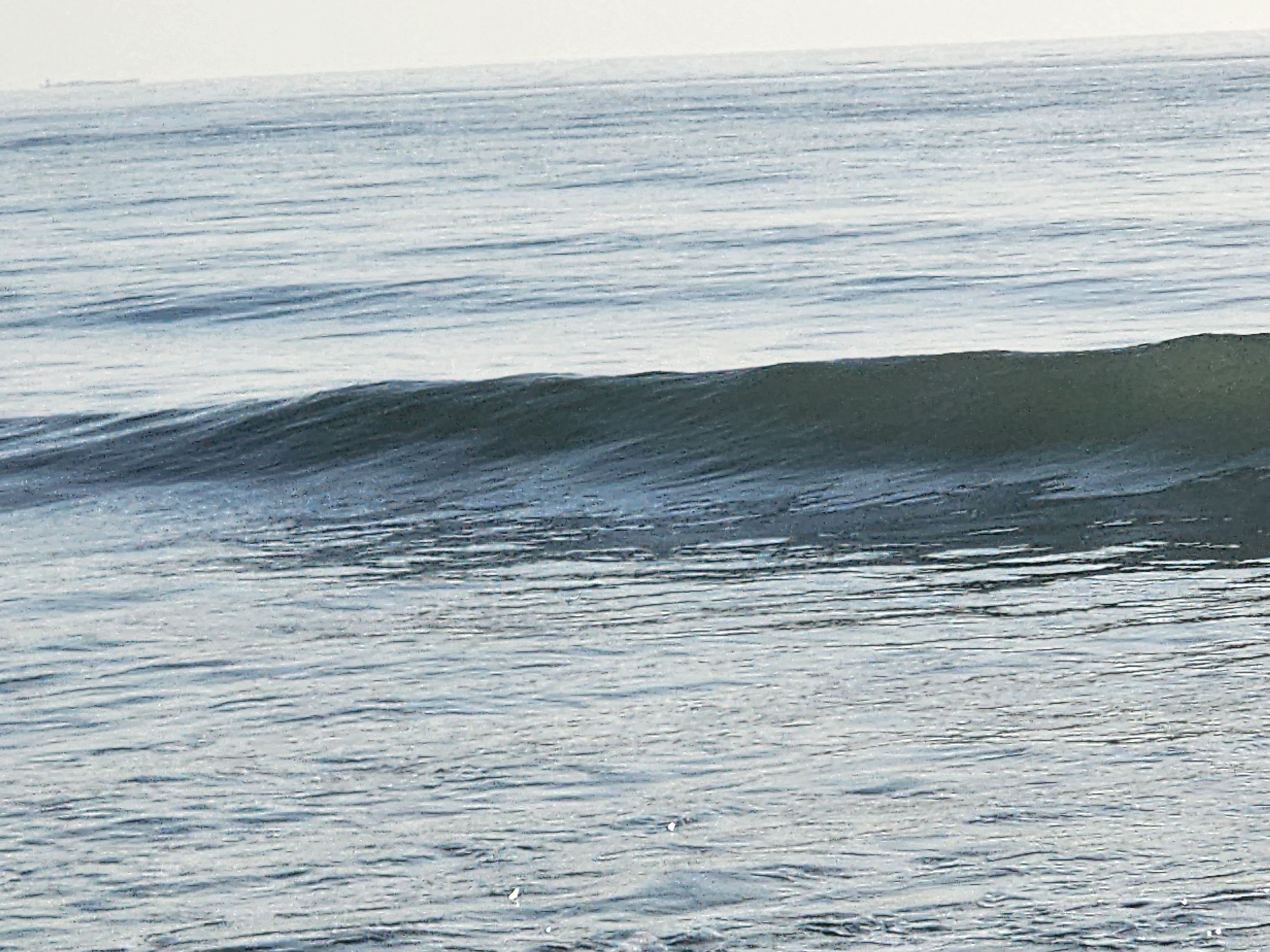 Close-up of a small long period wave standing up offshore under hazy morning light, South Cocoa Beach