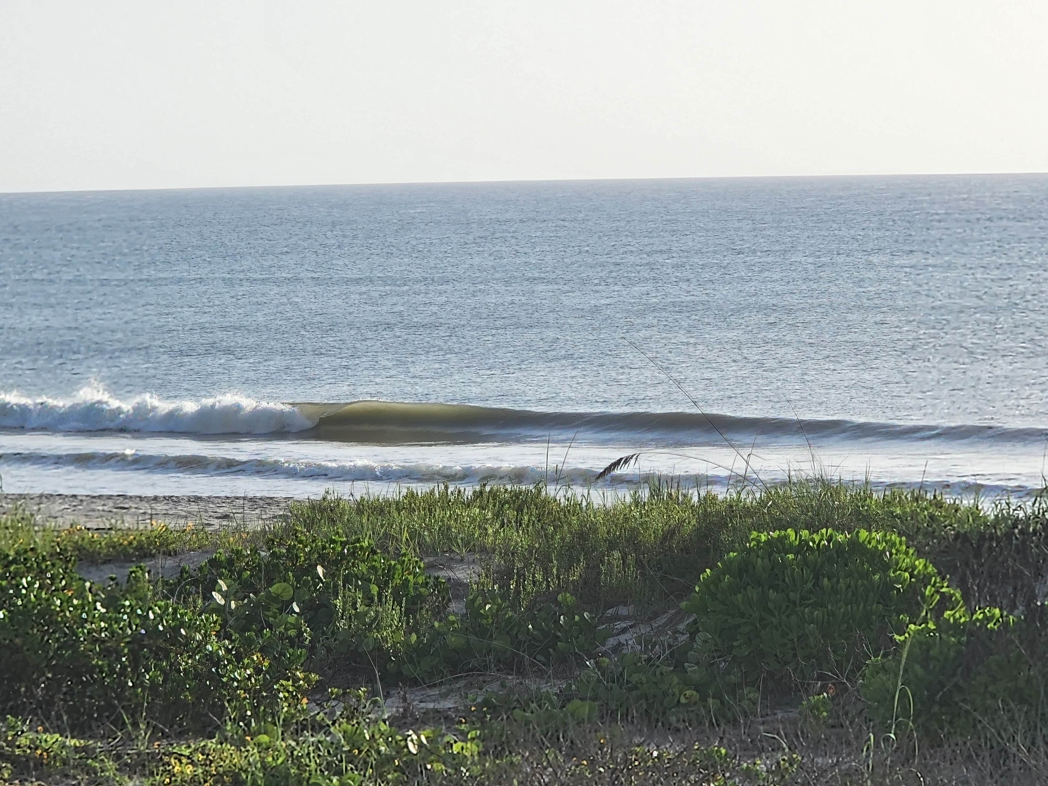 Small clean wave with a smooth tan face peeling toward shore at low tide, South Cocoa Beach, August 2026
