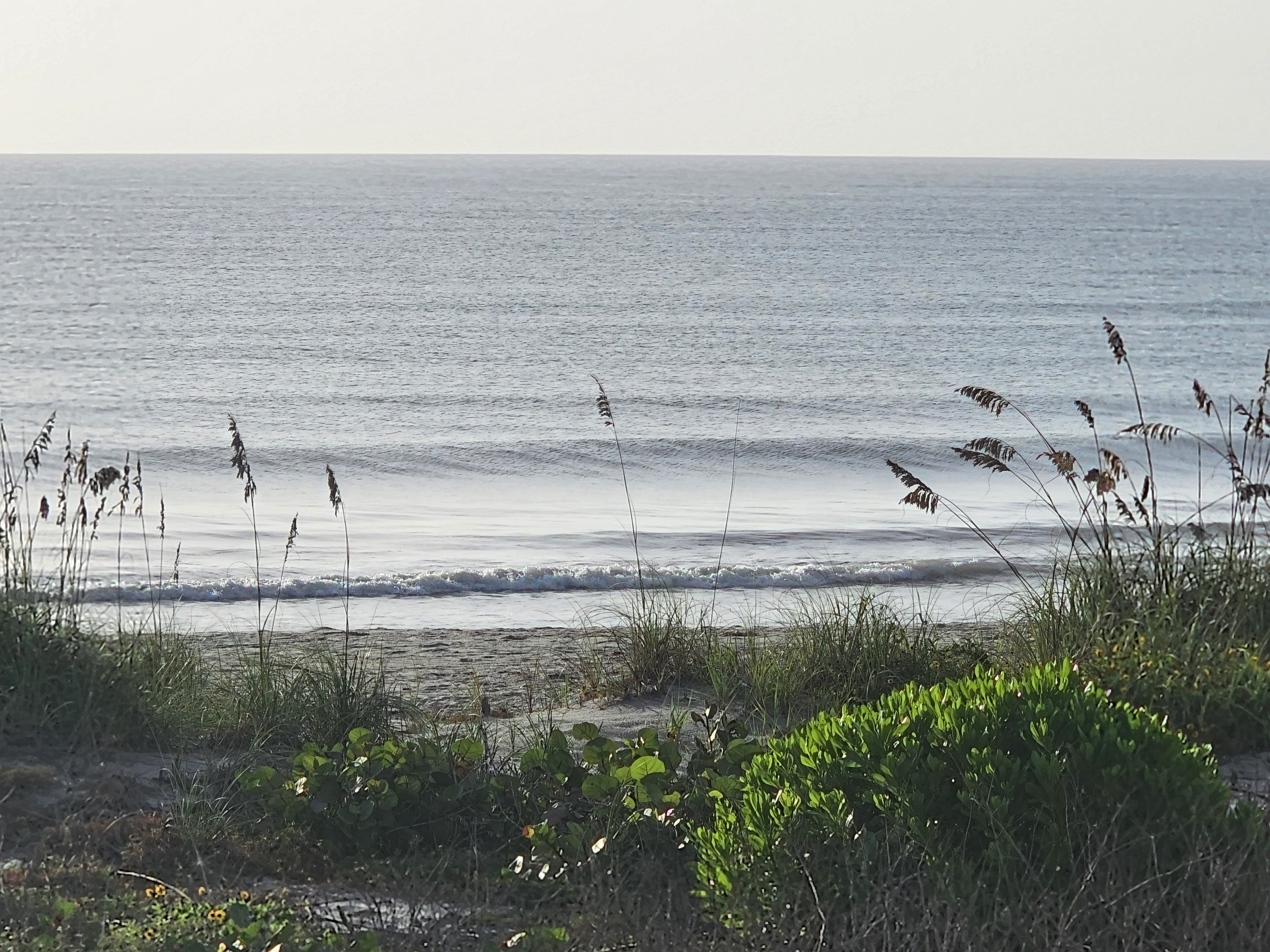 Glassy ocean with a small wave rolling onto the beach through sea oats, South Cocoa Beach, August 2026