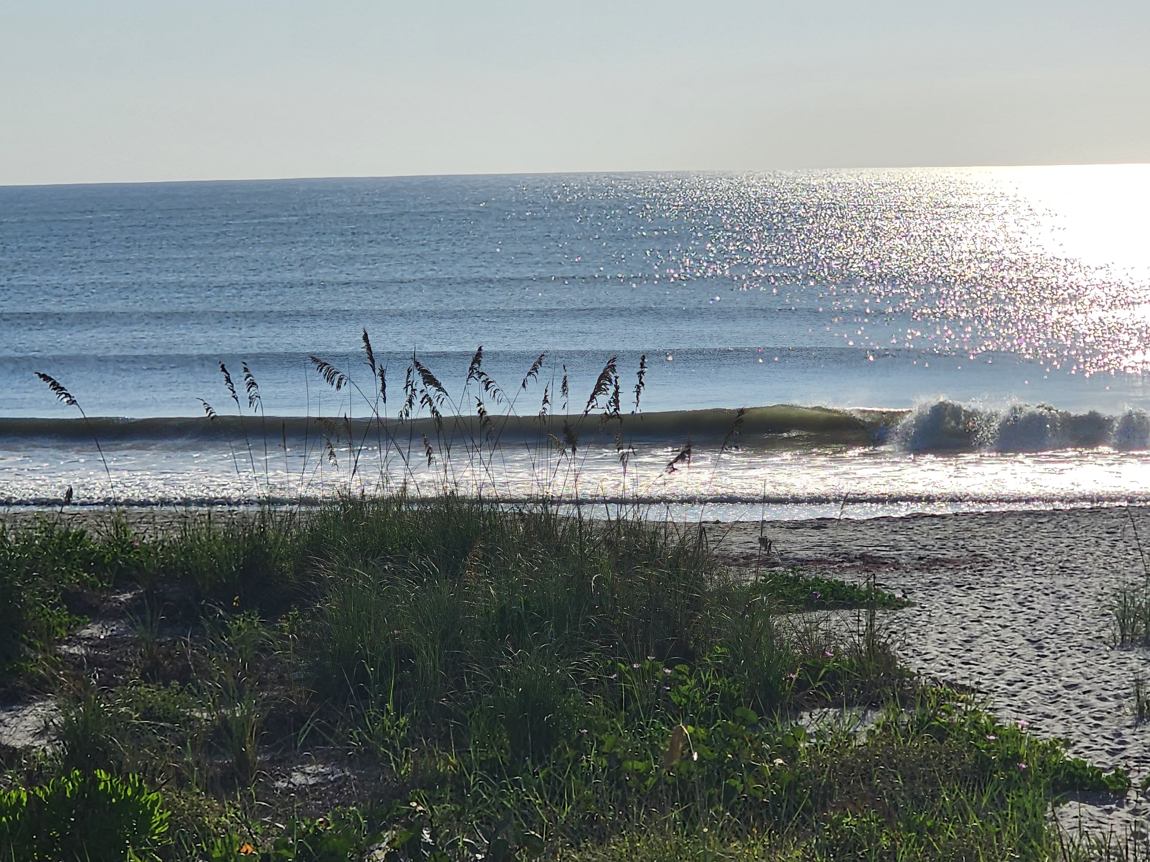 Clean long period wave with a smooth green face peeling at low tide, sea oats silhouetted in the foreground and sun glitter across the water, South Cocoa Beach, August 2026