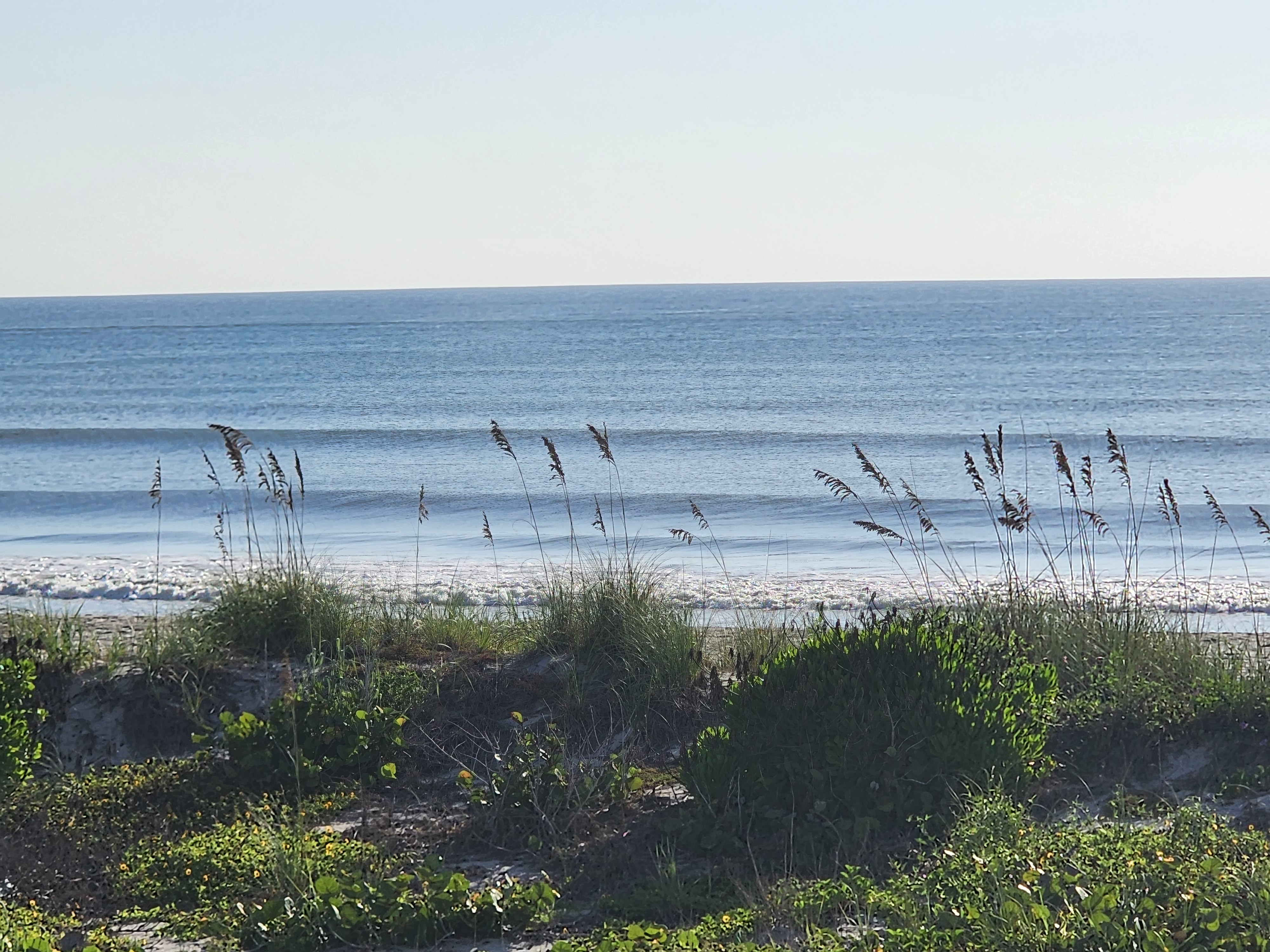 Glassy ocean with lines of swell stacking up outside, sea oats and dune vegetation in the foreground under clear morning sky, South Cocoa Beach, August 2026