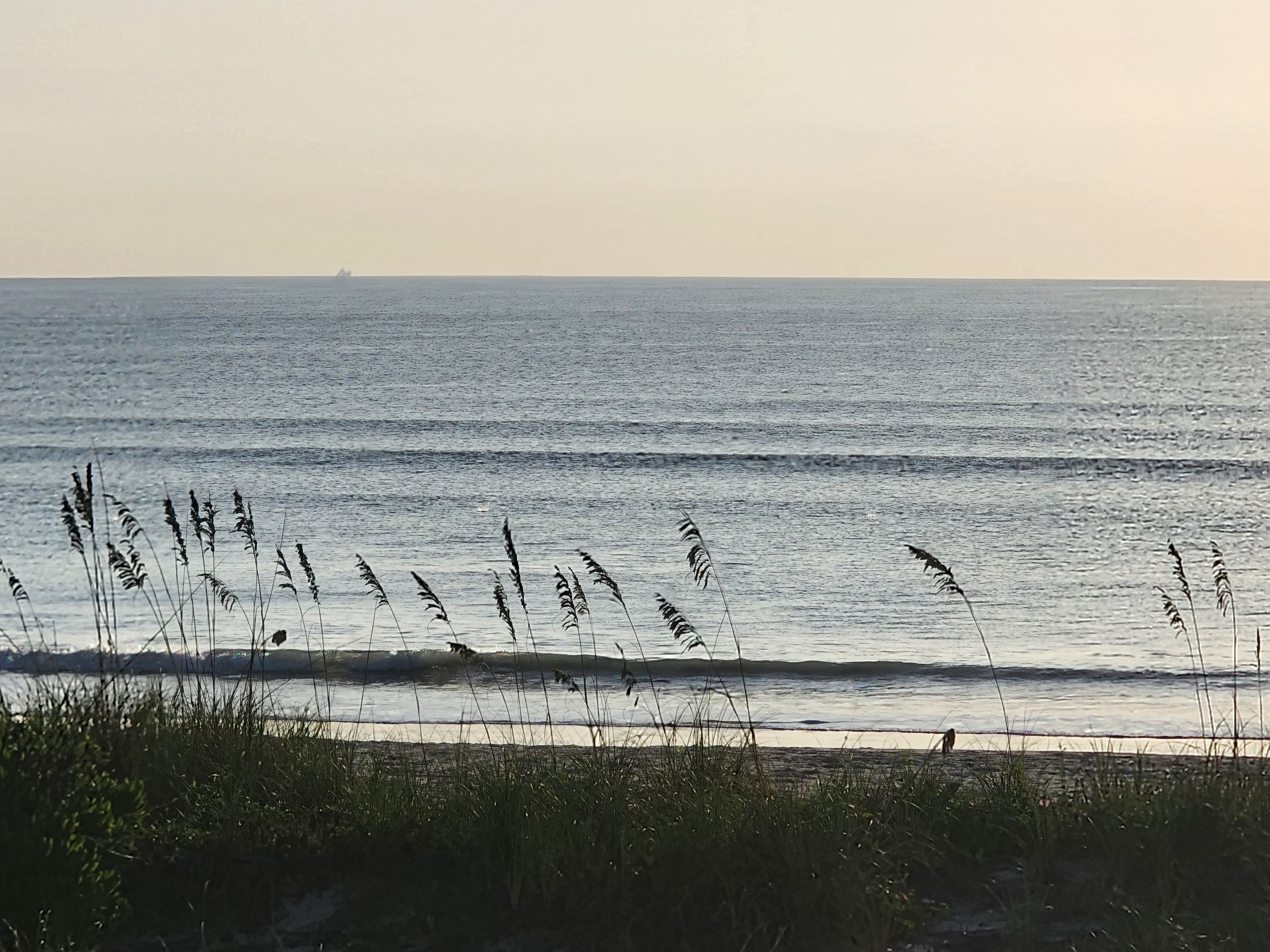Backlit sea oats silhouetted against a long clean wave breaking close to the sand at sunrise, a ship on the horizon, South Cocoa Beach, August 2026