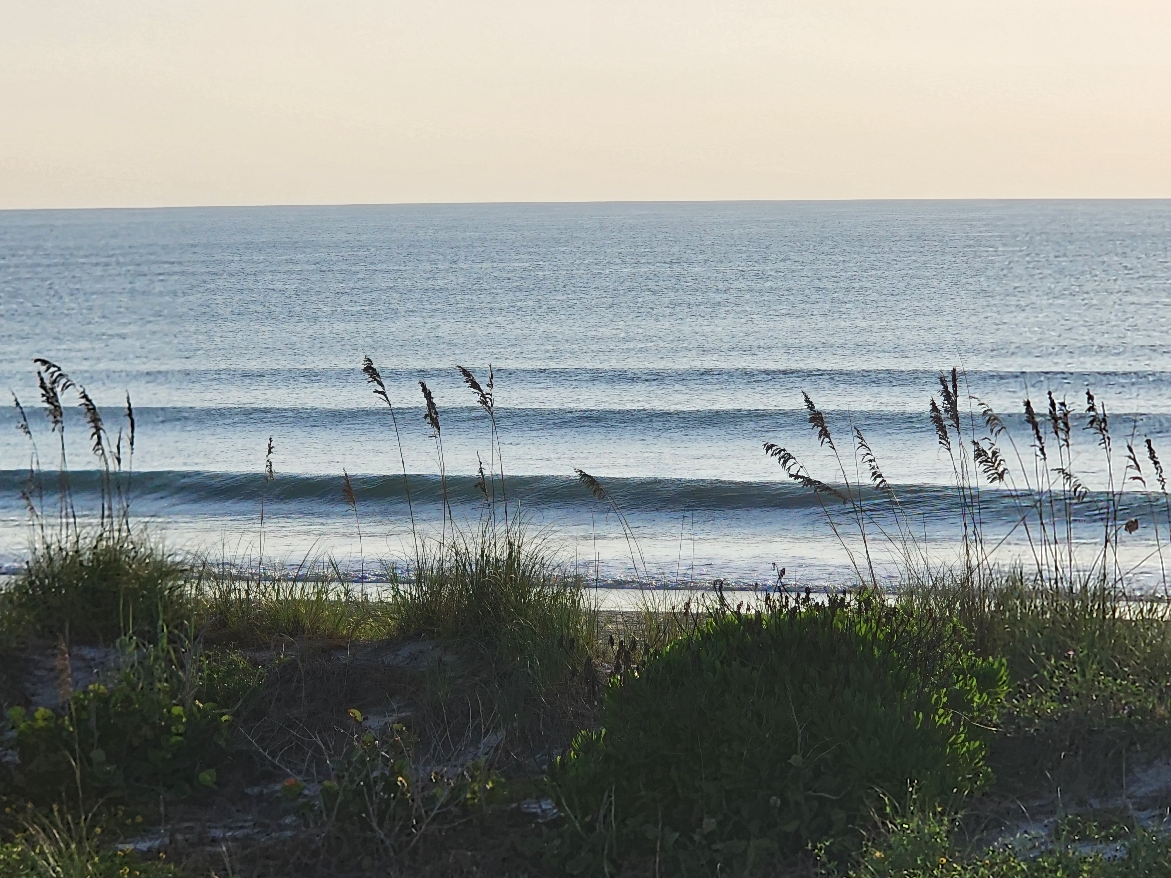 Clean 1-2 foot wave peeling down the line with a glassy face, sea oats and railroad vine framing the foreground, South Cocoa Beach, August 2026