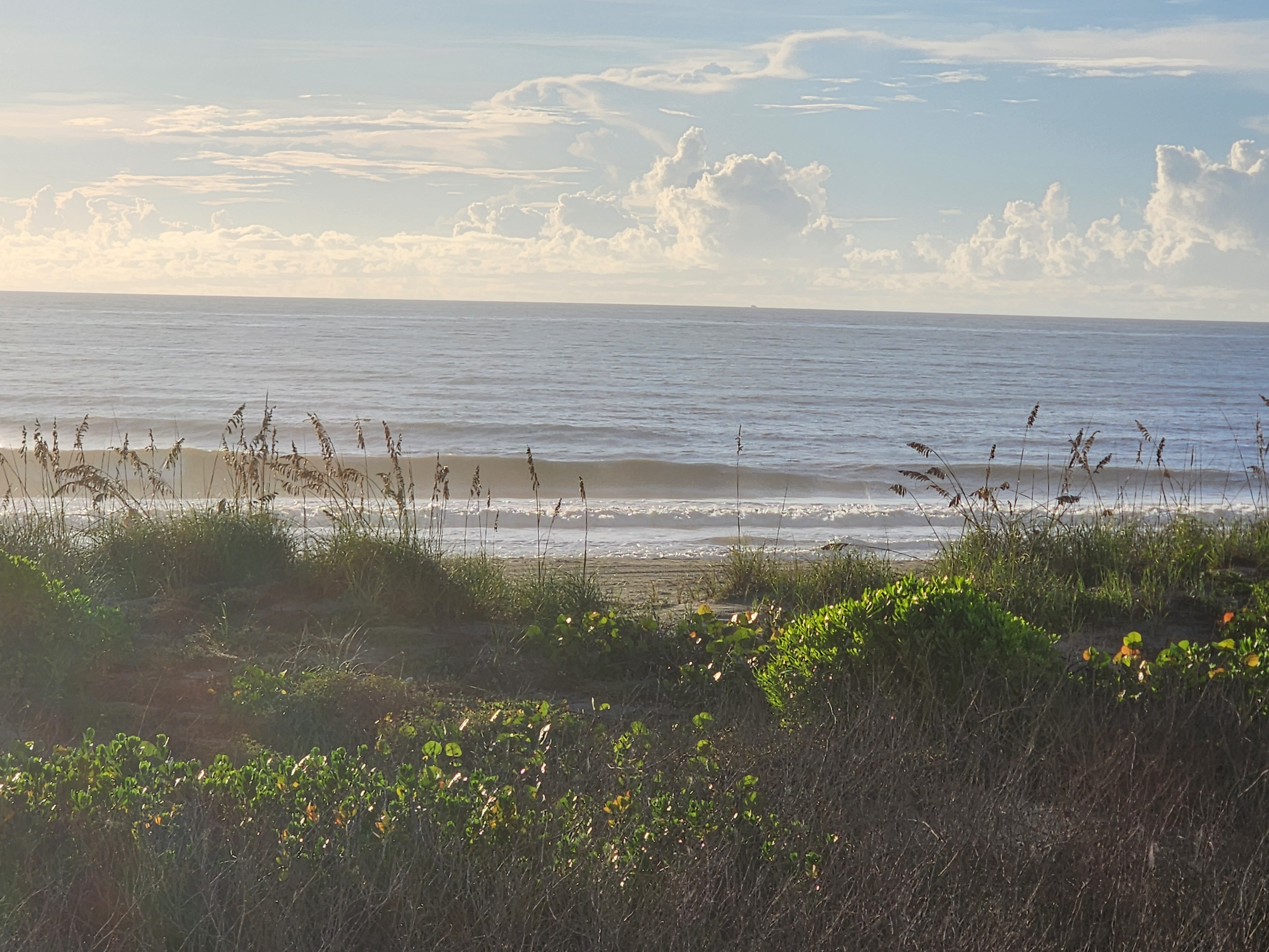 Lines of shorebreak stacking up on the incoming tide seen through the sea oats, South Cocoa Beach
