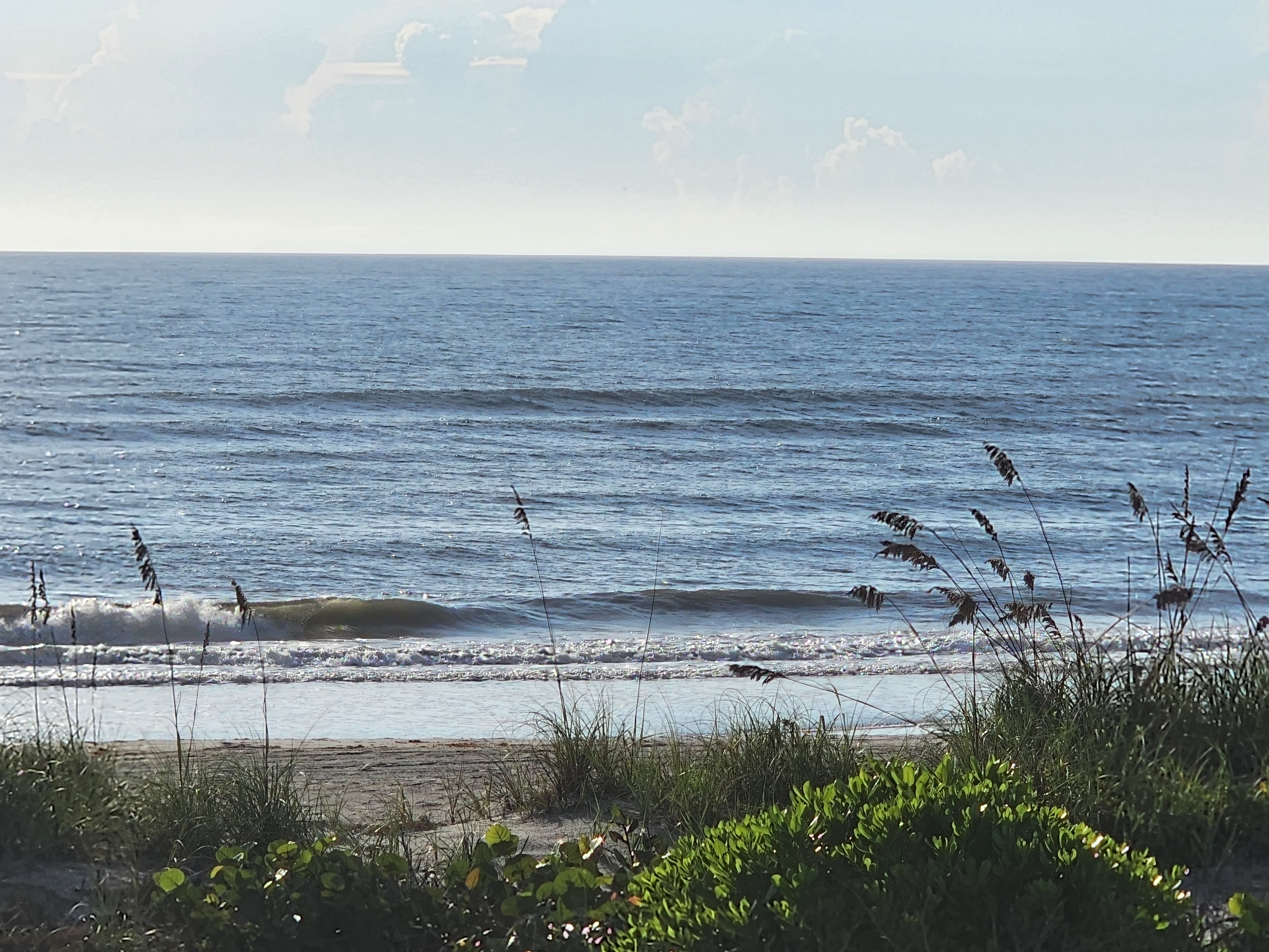Knee-high wave peeling in front of the dune crossover, morning sun glinting off the water