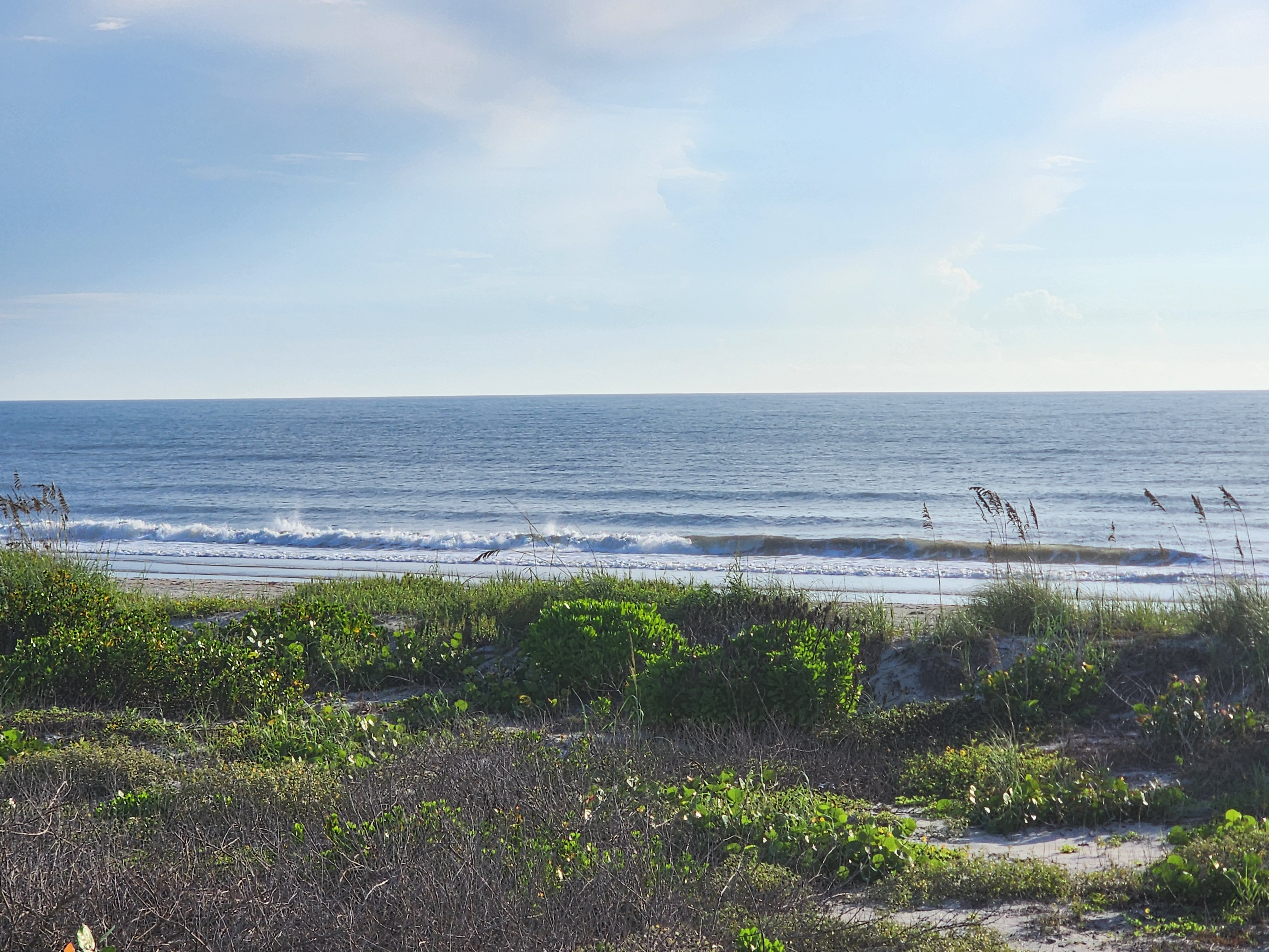 Shorebreak stacking up along the beach with sea oats and morning glory across the dune