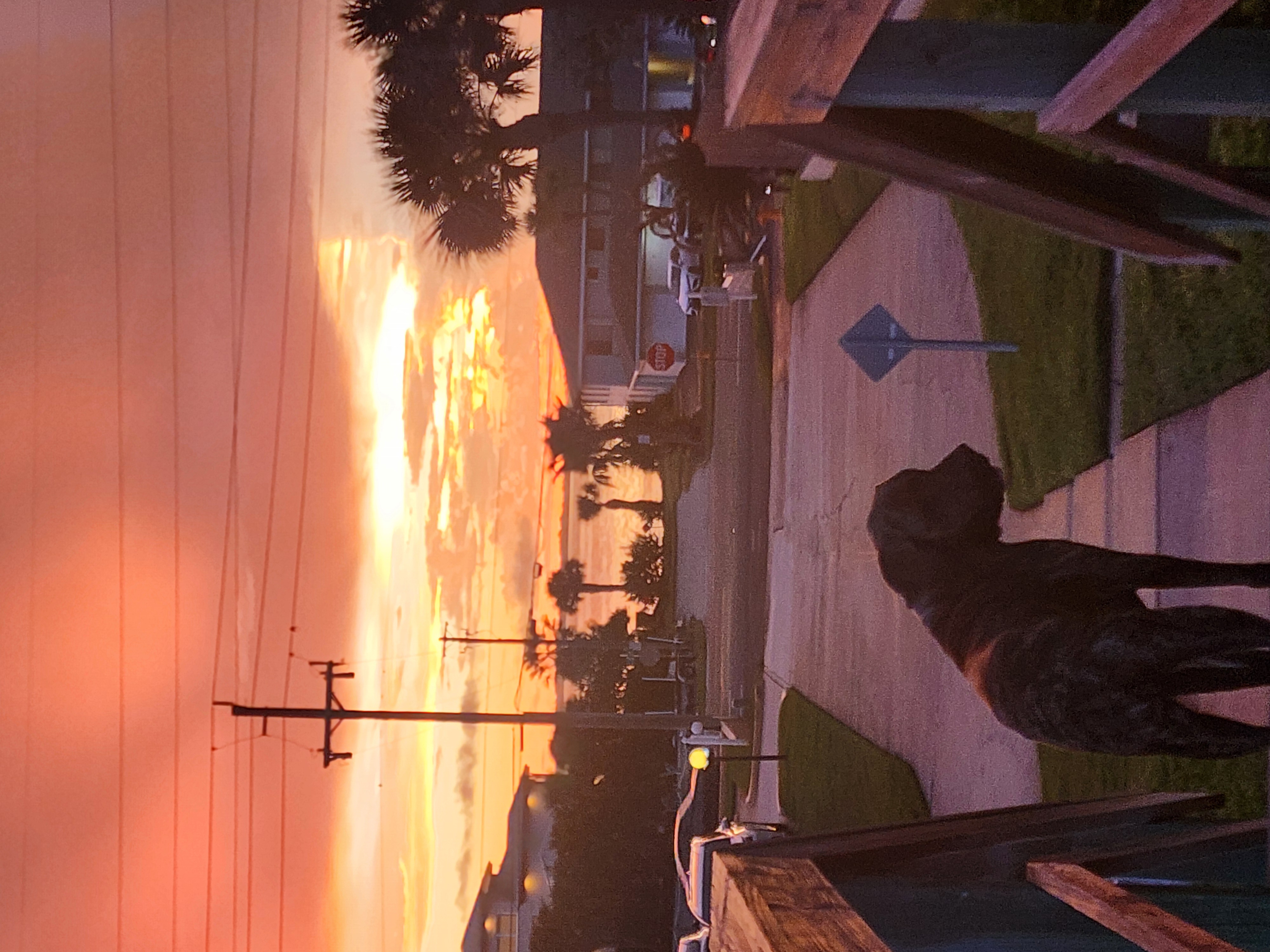 Athena standing at the top of the stairs watching a fiery orange and gold sunset burn over the river at the end of the street, Cocoa Beach, September 2026