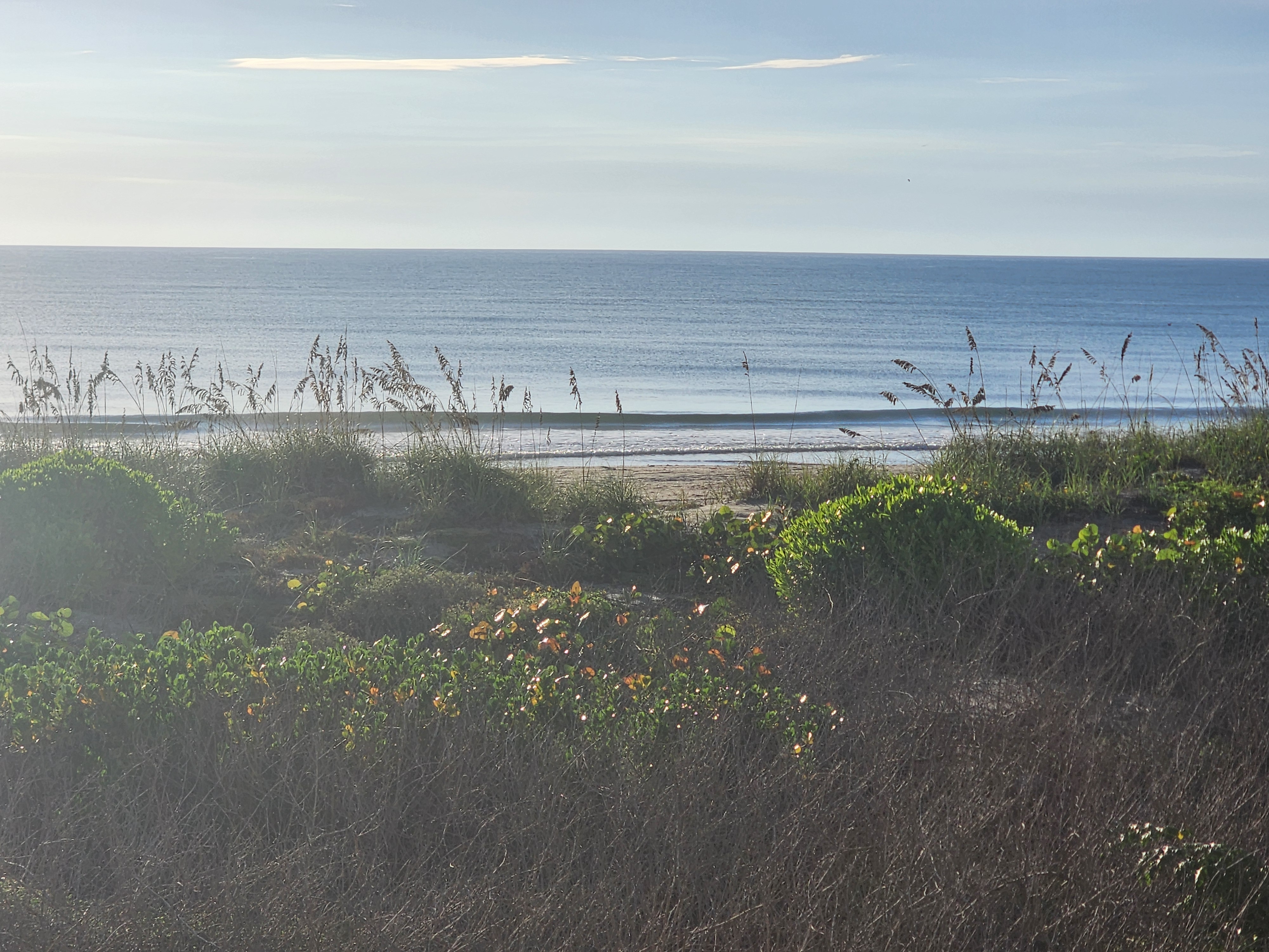 Wide view of a deep blue Atlantic under clear skies with a thin band of small surf and sunlit railroad vine covering the dune, South Cocoa Beach, September 2026