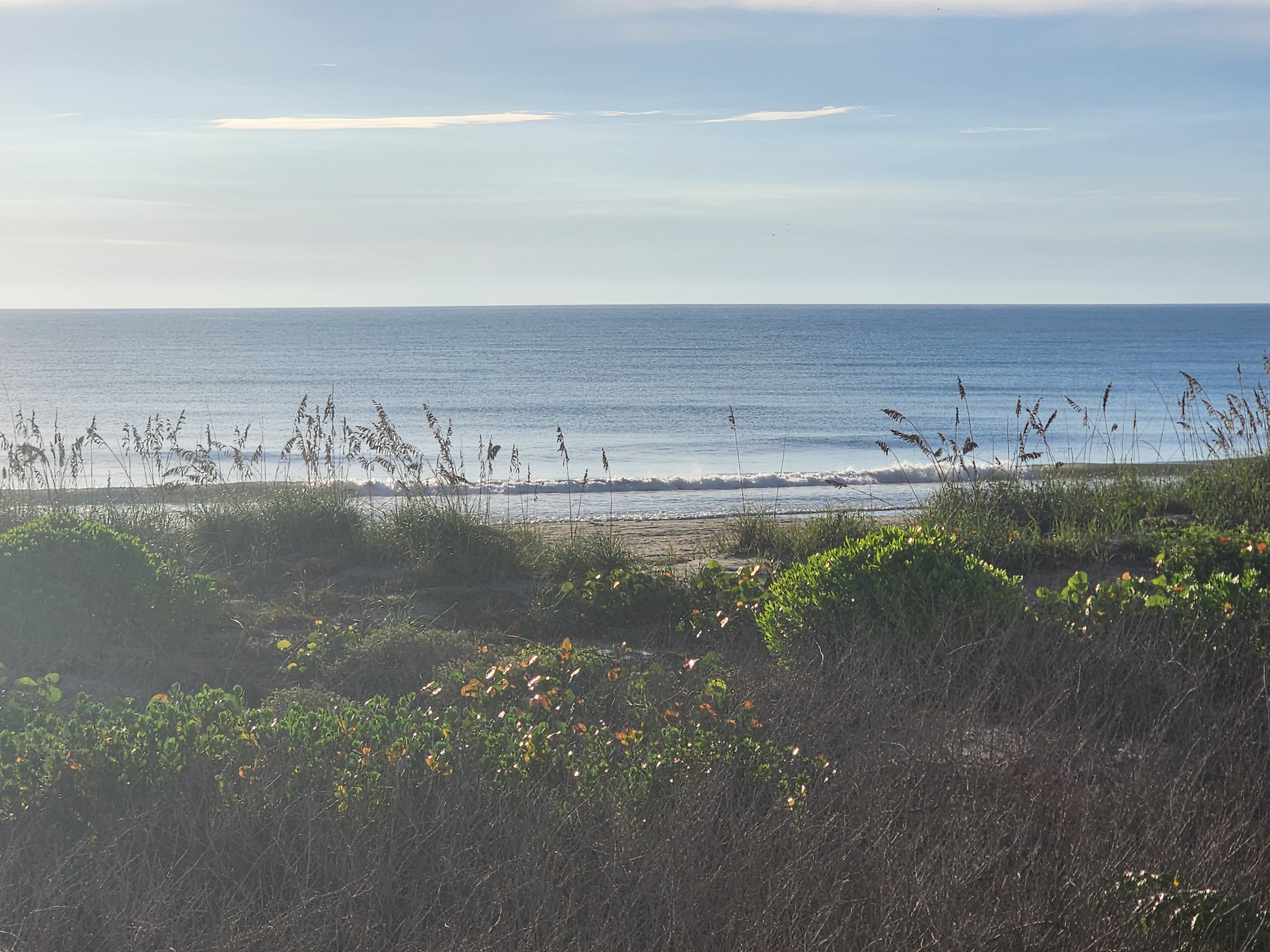 Glassy blue morning ocean with a small wave breaking along an empty beach, sea oats and morning glory blooms in the foreground at 32nd Street, South Cocoa Beach, September 2026
