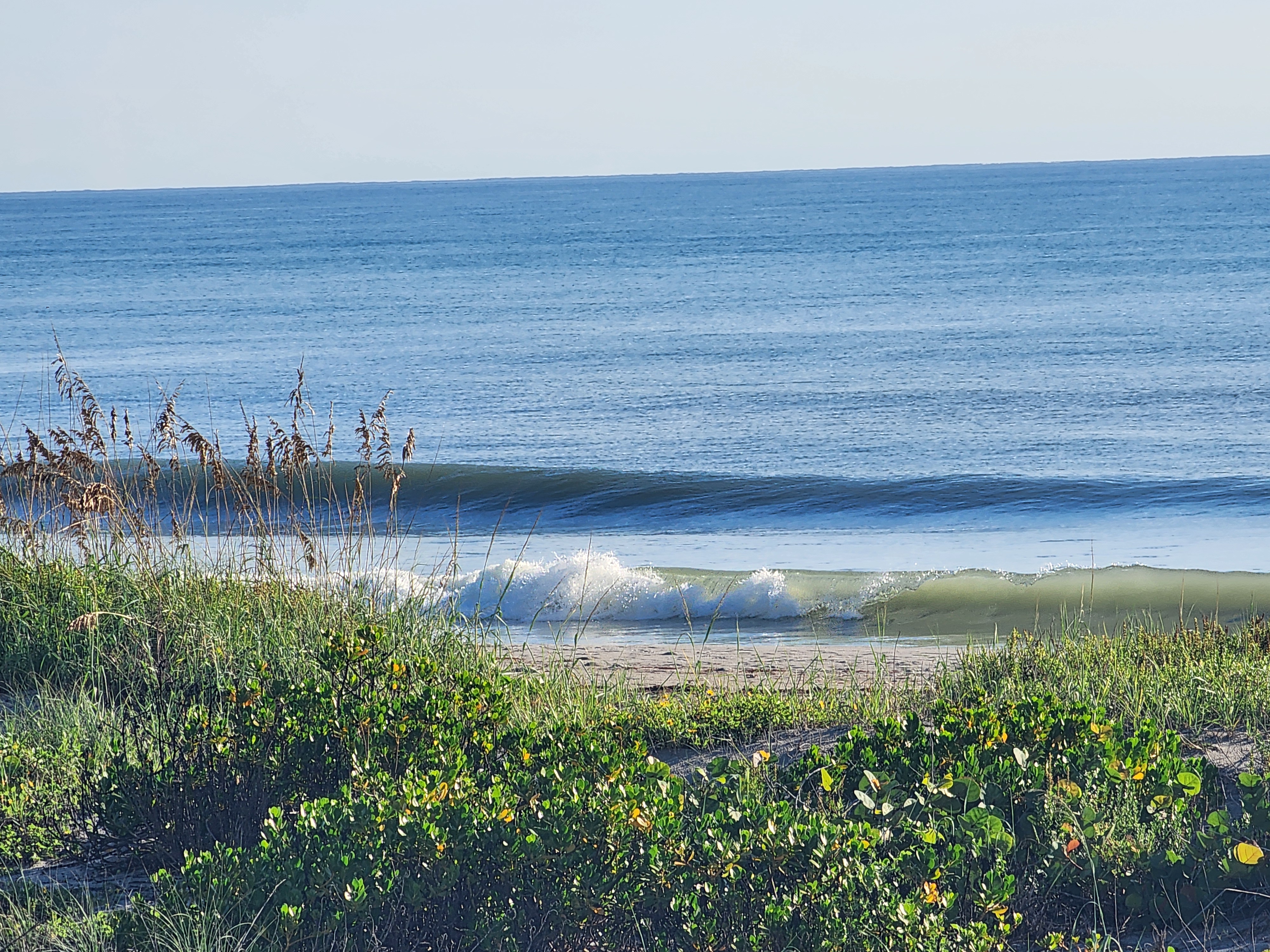 Small set wave standing up over the inside sandbar with a second line behind it, sea grape and railroad vine covering the dune, South Cocoa Beach, September 2026