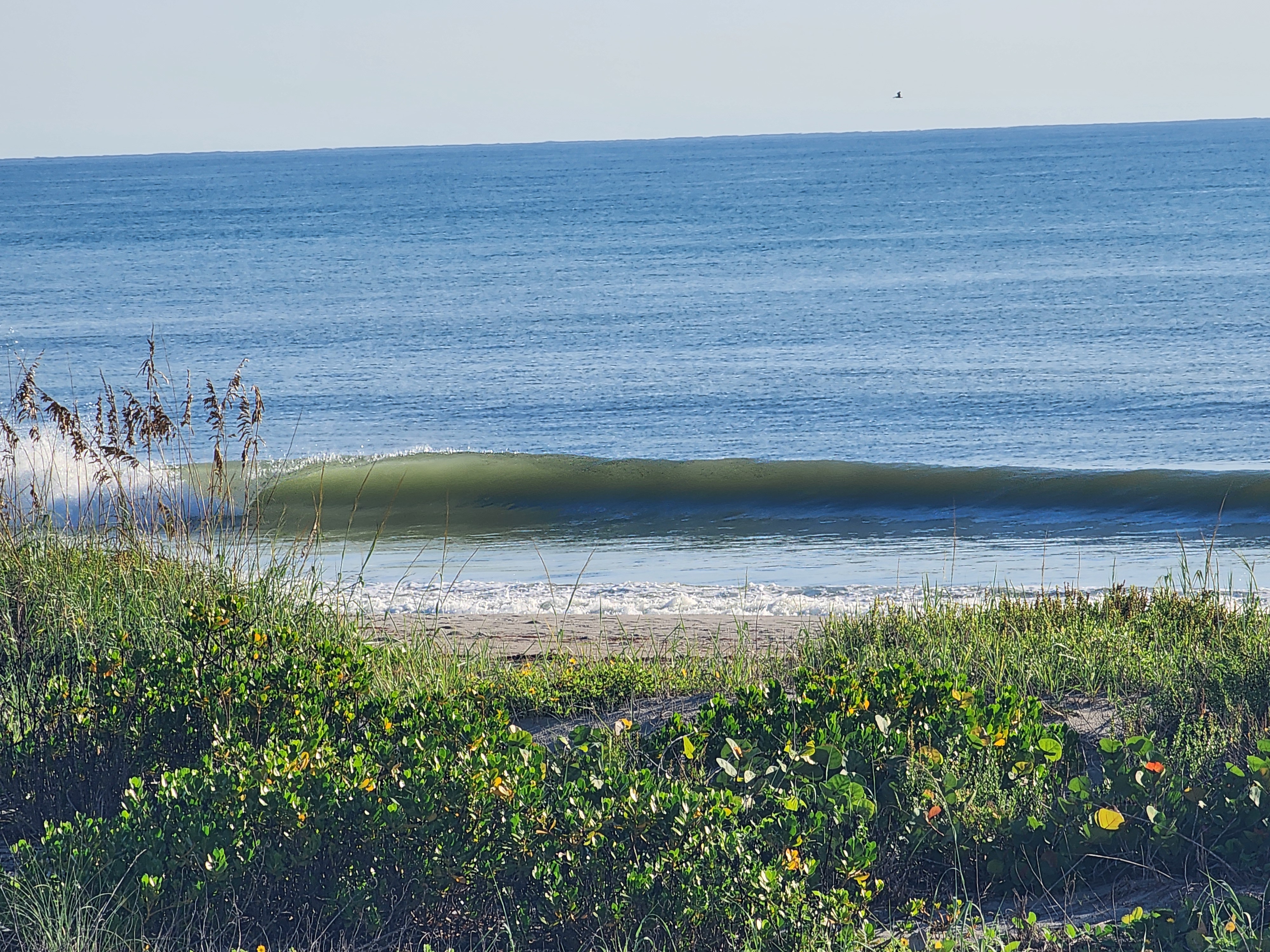 Backlit glassy wave holding a clean green wall before breaking along an empty beach at 32nd Street, South Cocoa Beach, September 2026