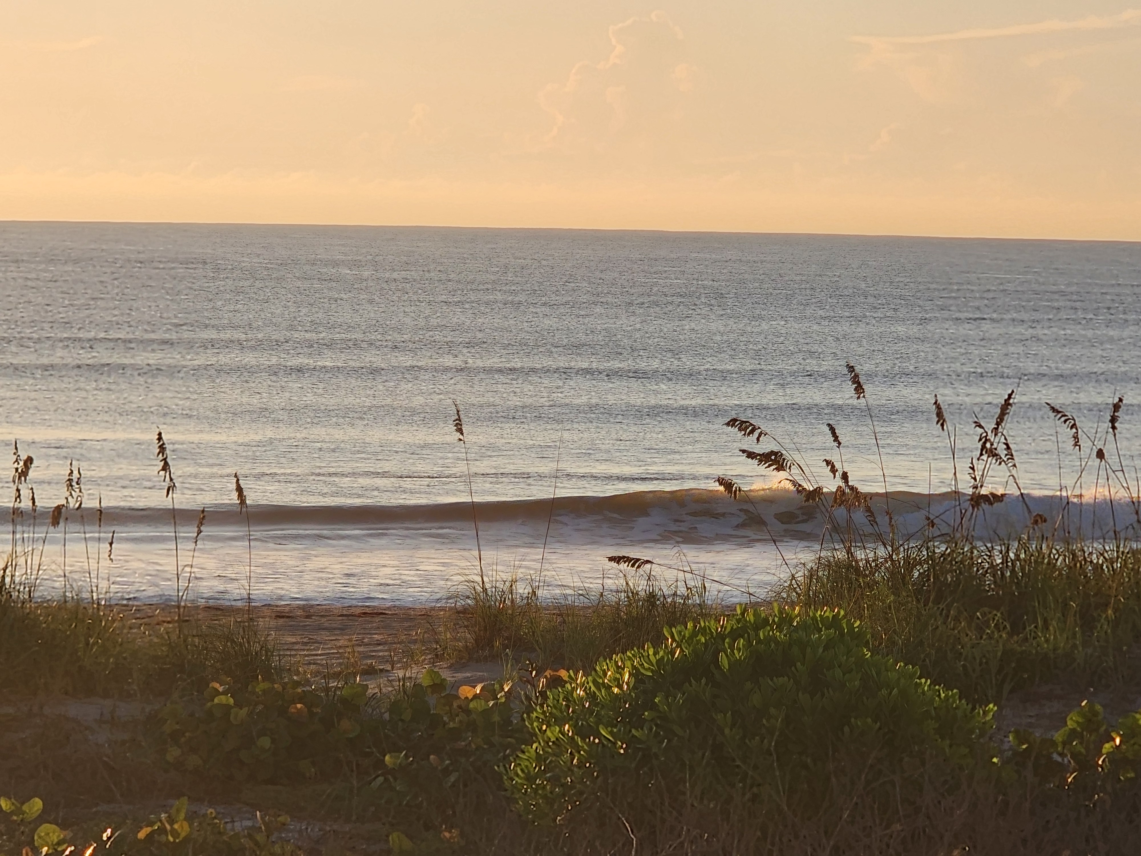 Clean 1-2 foot line breaking along the sand in golden sunrise light, dune grass and sea grape in the foreground, South Cocoa Beach, September 2026